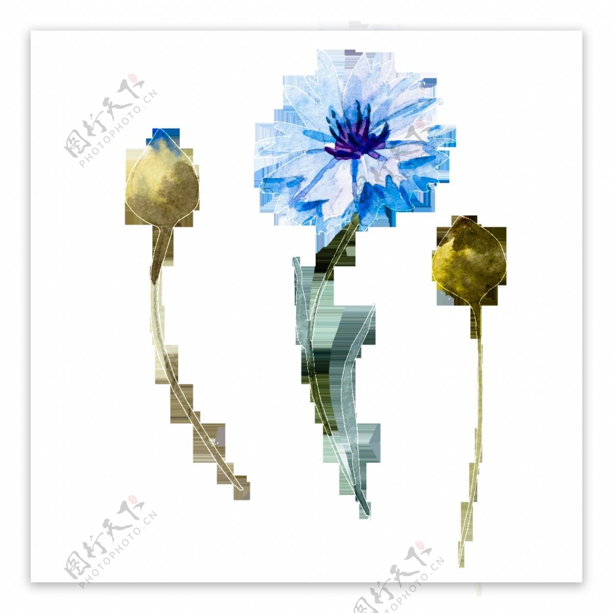 蓝色创意花卉卡通透明素材
