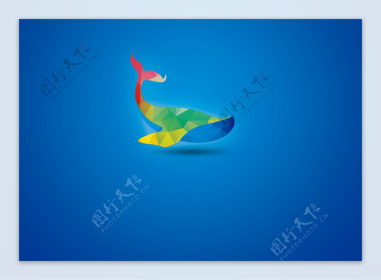 鲸鱼logo设计模板