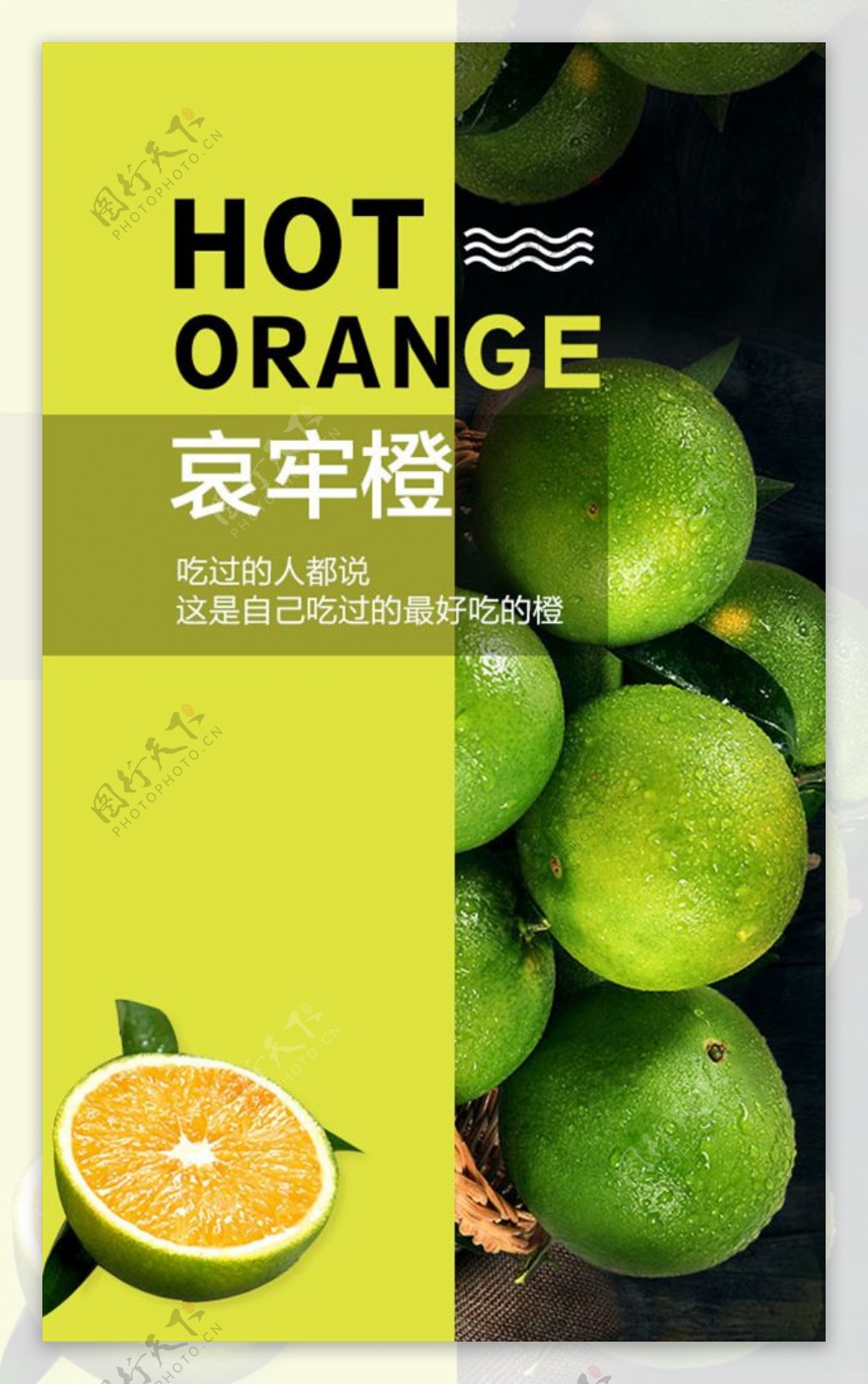 哀牢橙水果简洁海报