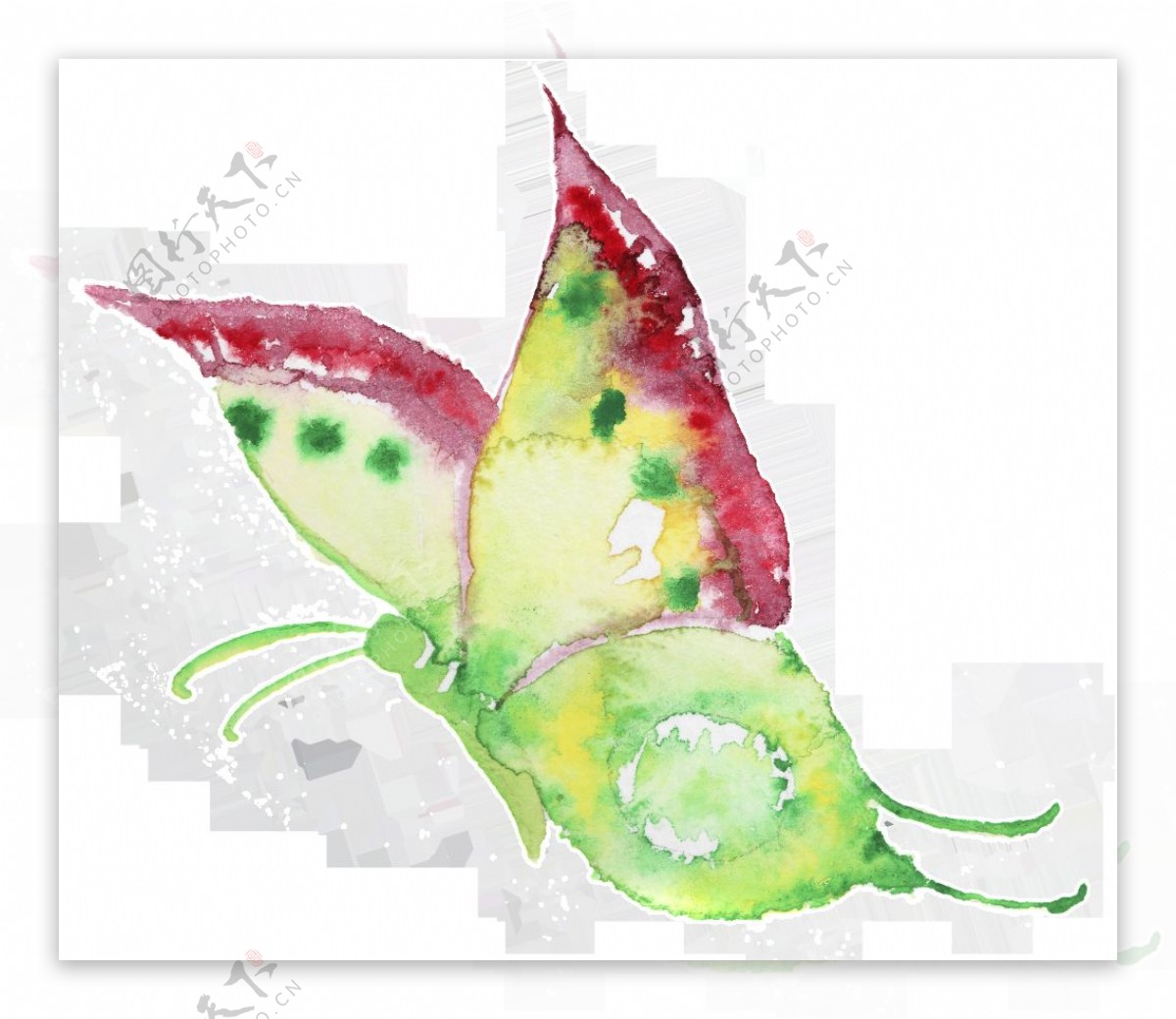 红边蝴蝶卡通透明装饰素材