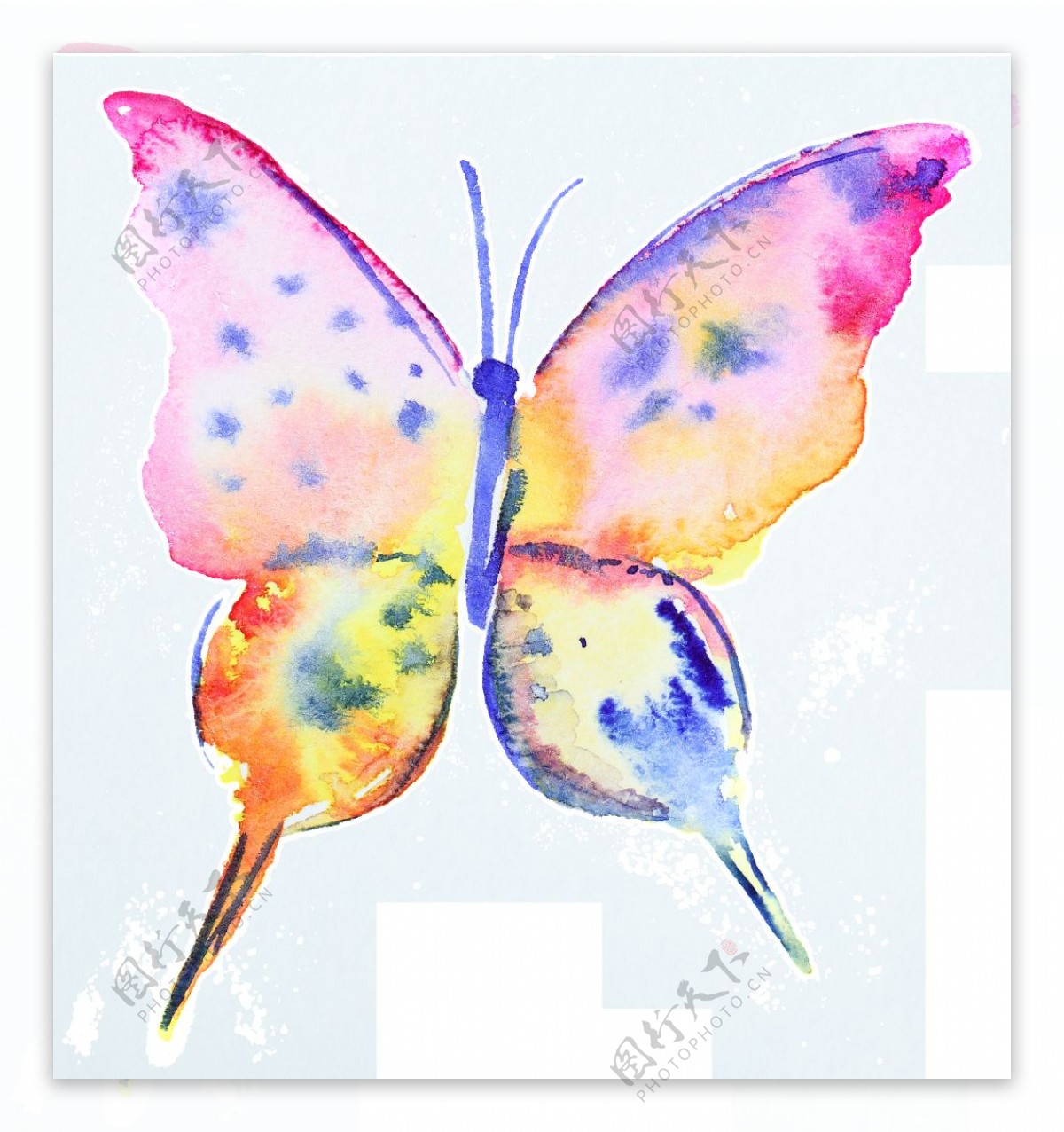 水彩蝴蝶卡通透明装饰素材