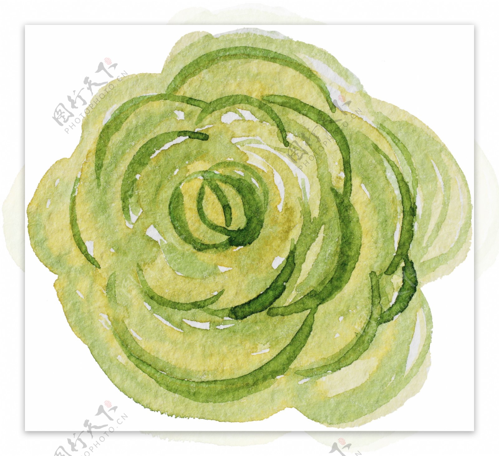 绿色水彩花卉卡通透明素材