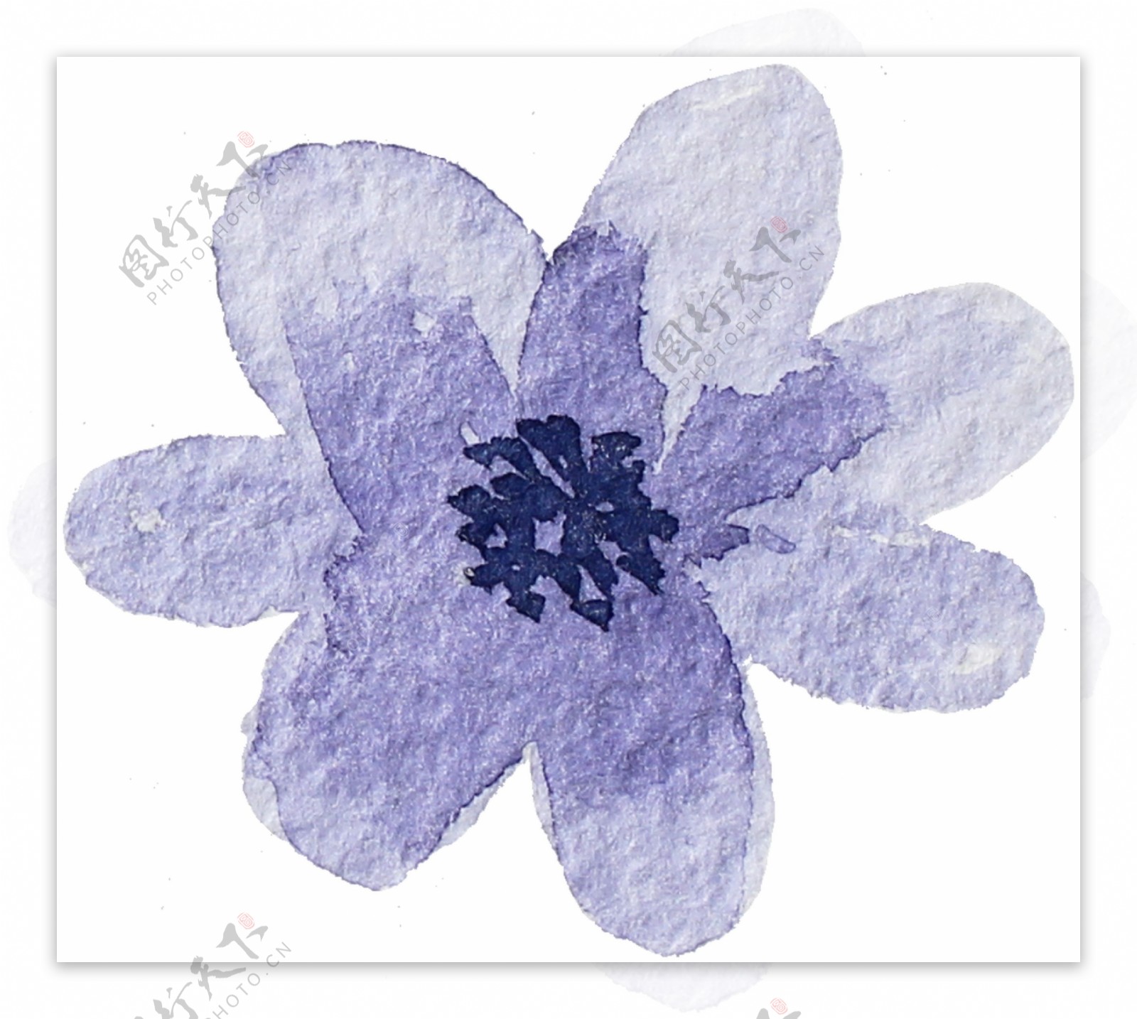 紫色淡雅花卉透明素材