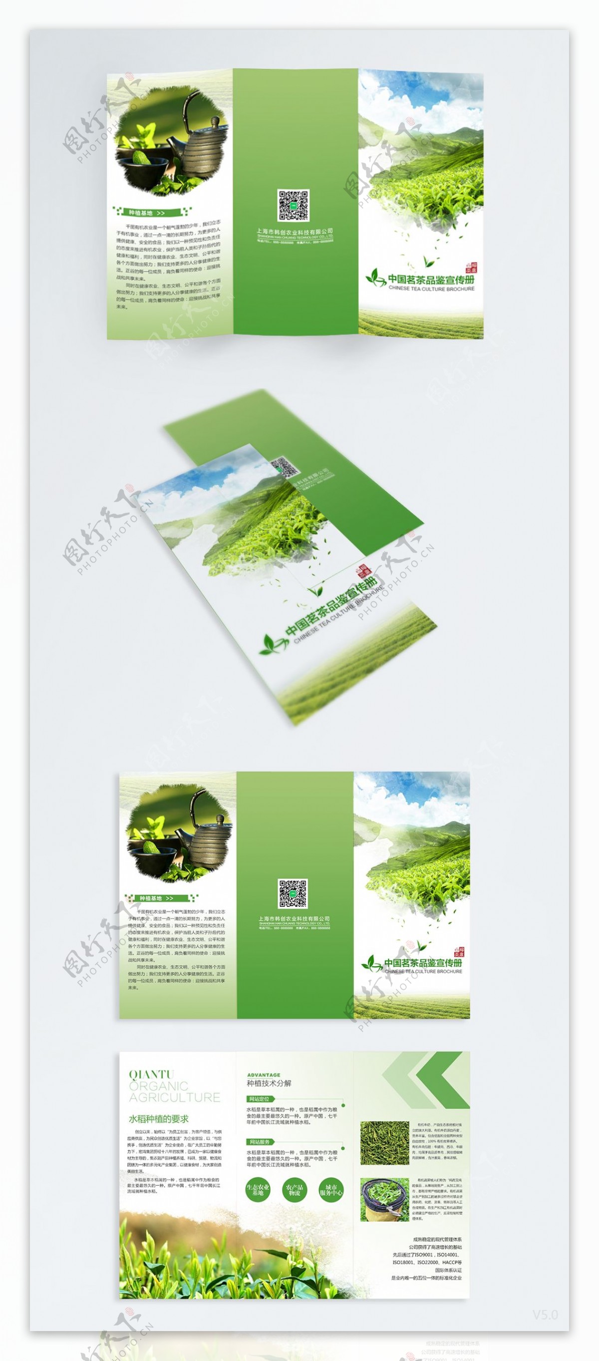 农产品农业茶叶高端三折页宣传手册