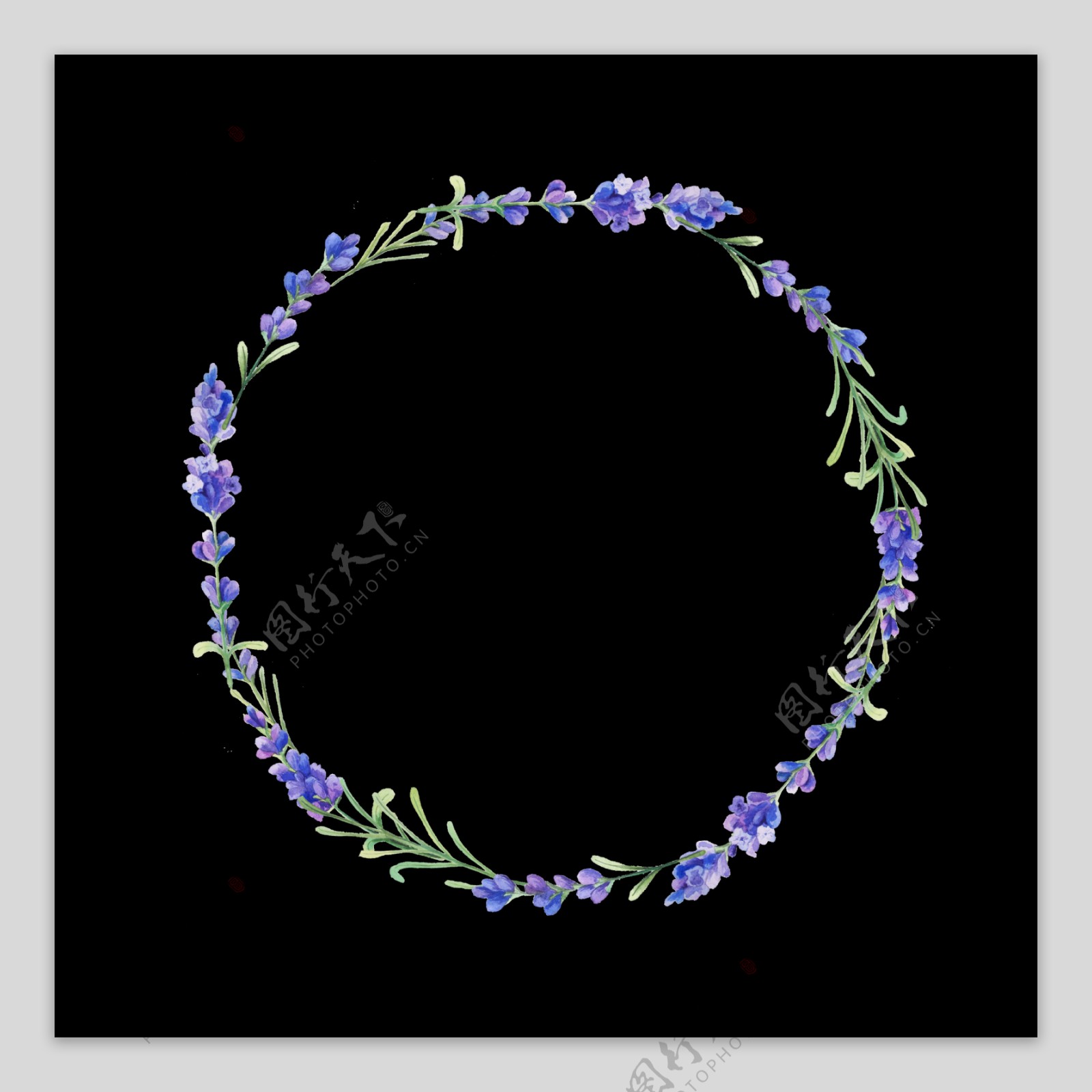 紫馨喇叭花卡通水彩透明素材