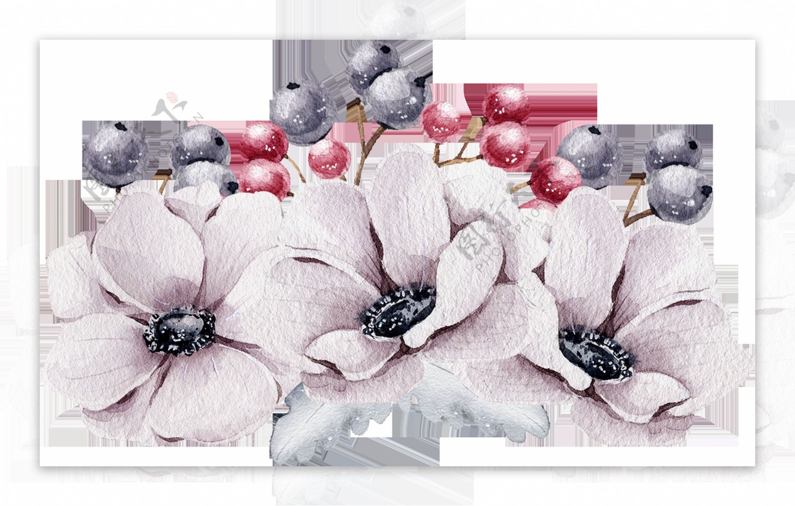 葡萄花蕊透明装饰素材