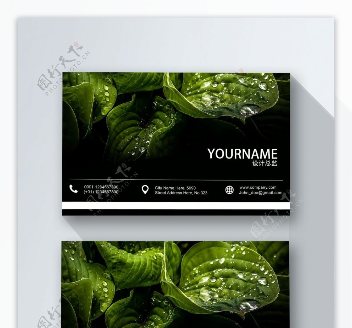 绿色植物名片设计