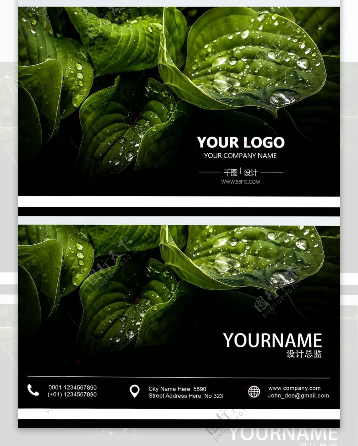 绿色植物名片设计