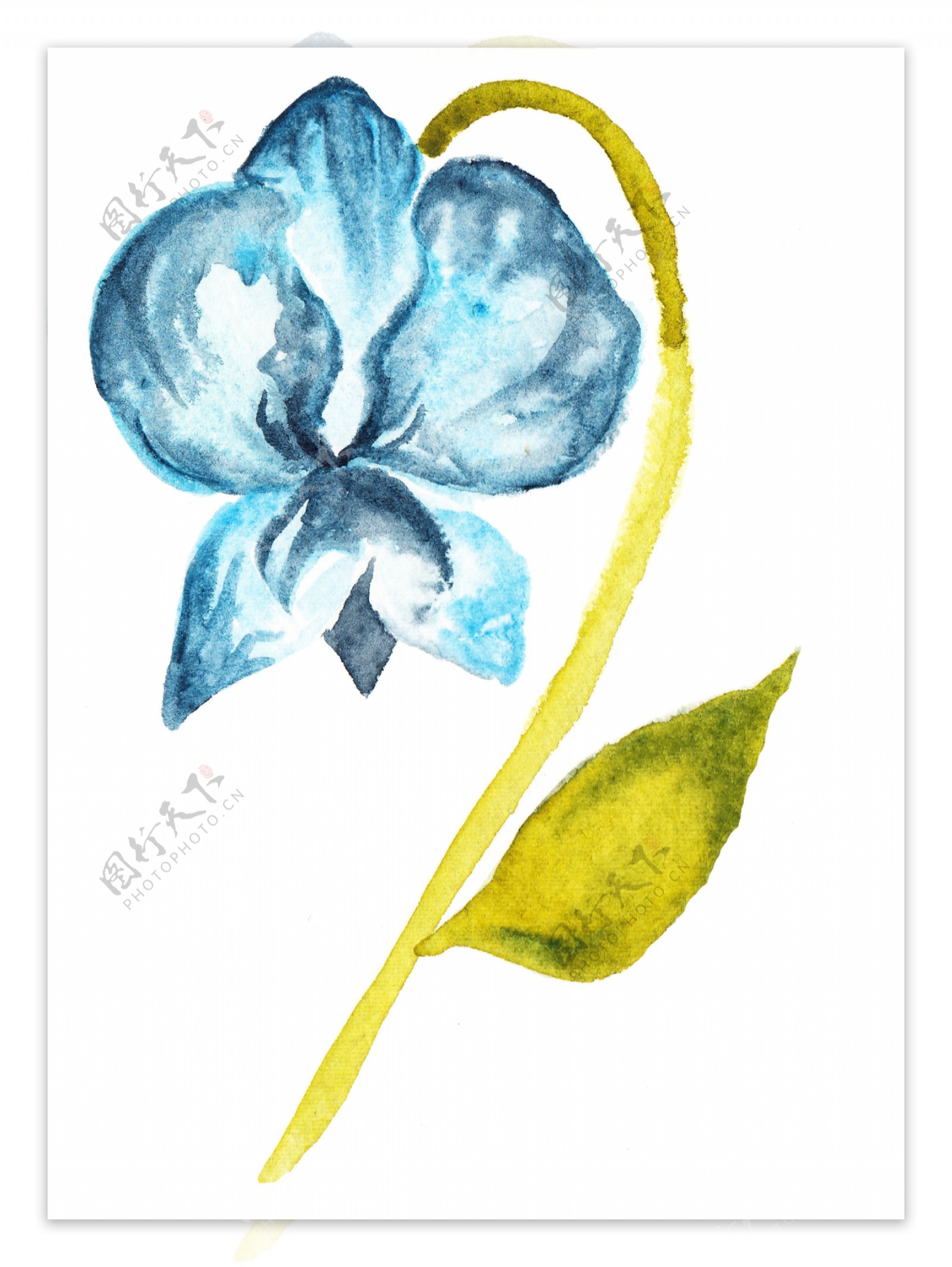 唯美蓝色花卉透明装饰素材