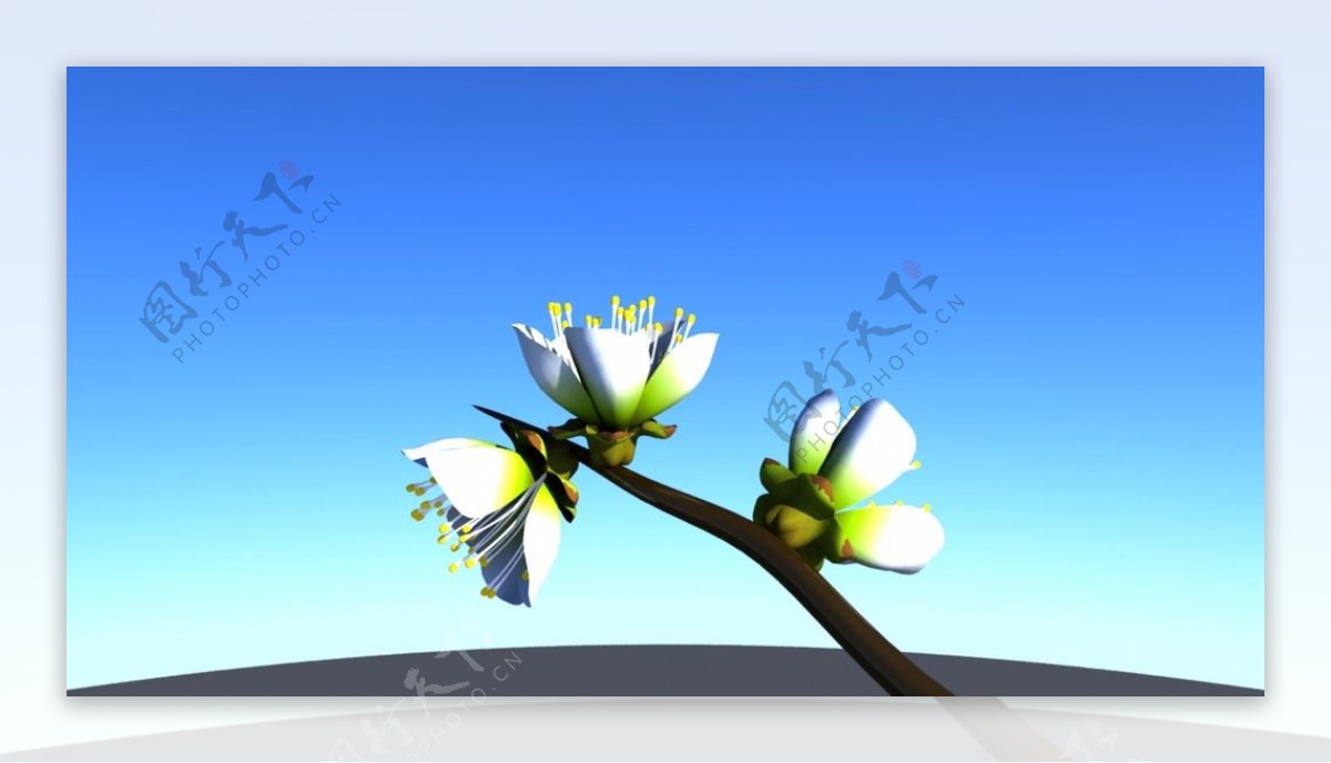 精致花朵天空maya3d渲染