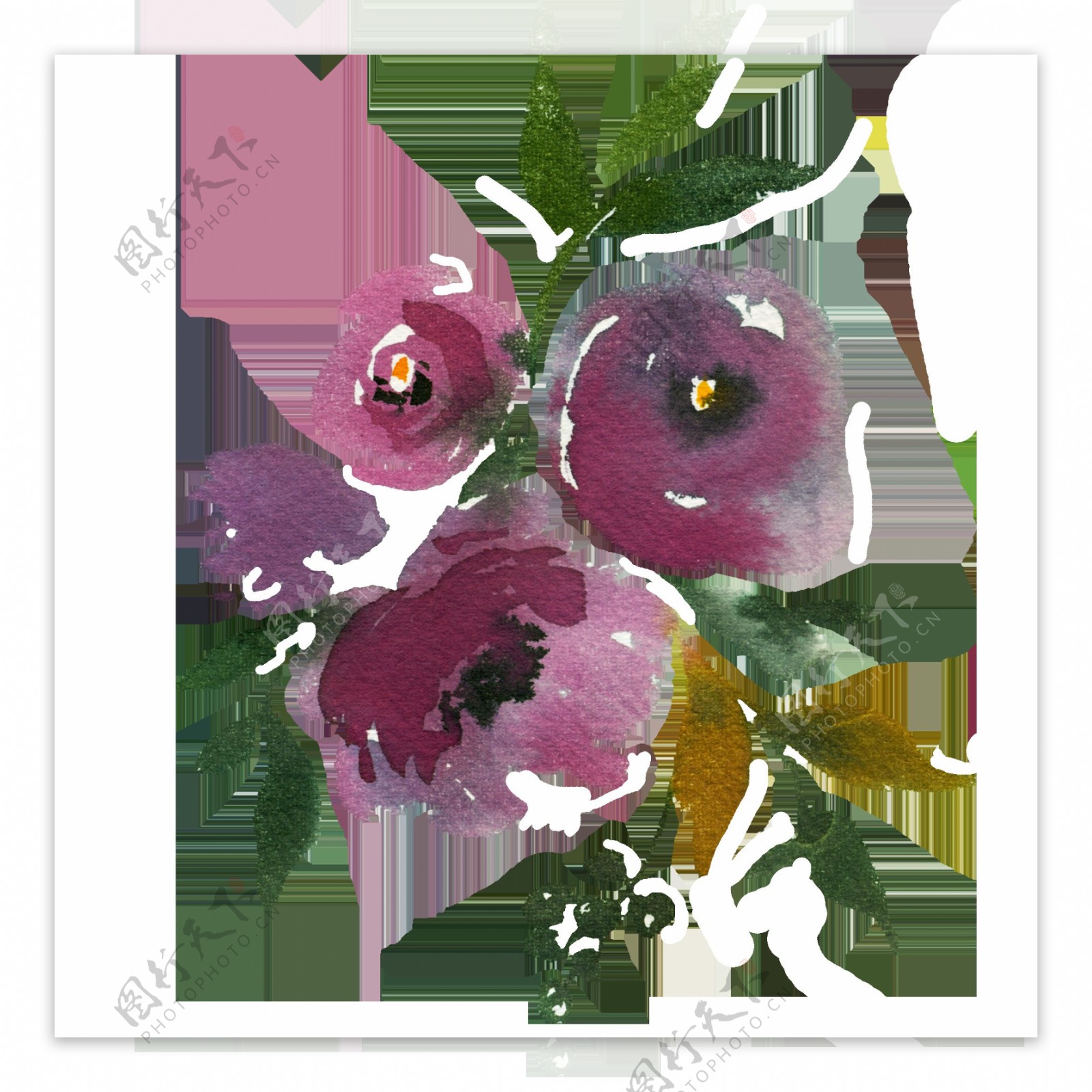 手绘暗紫色花卉png透明素材