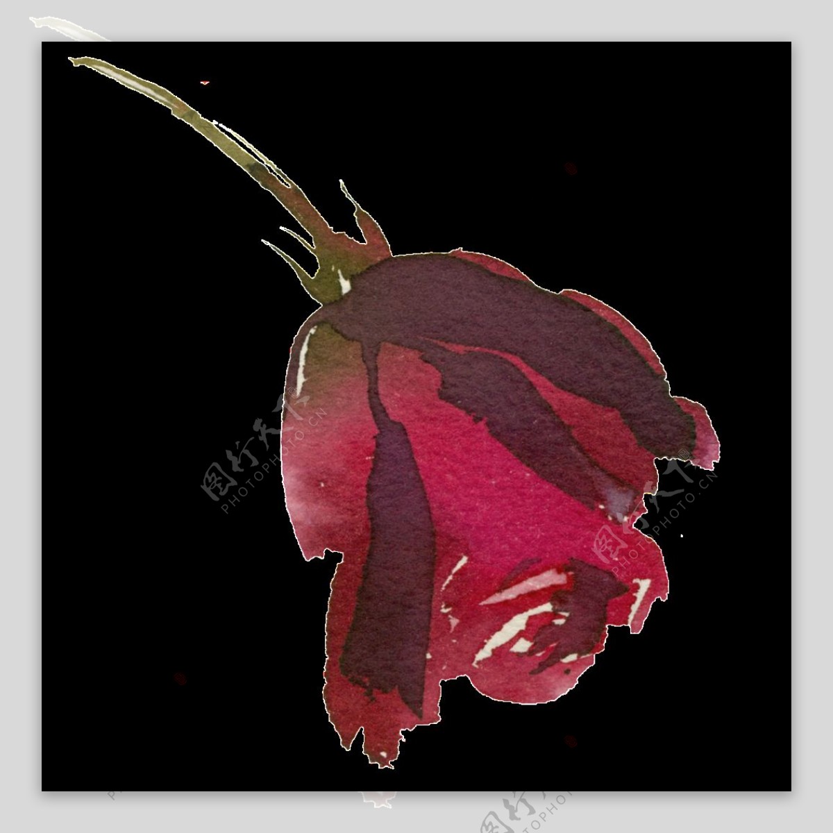 手绘鲜红玫瑰花PNG透明素材