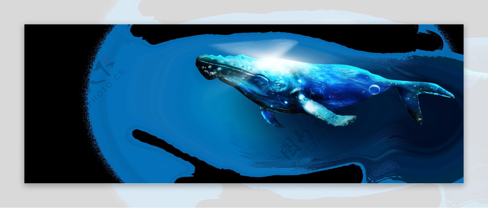 蓝色鲸鱼图PNG元素