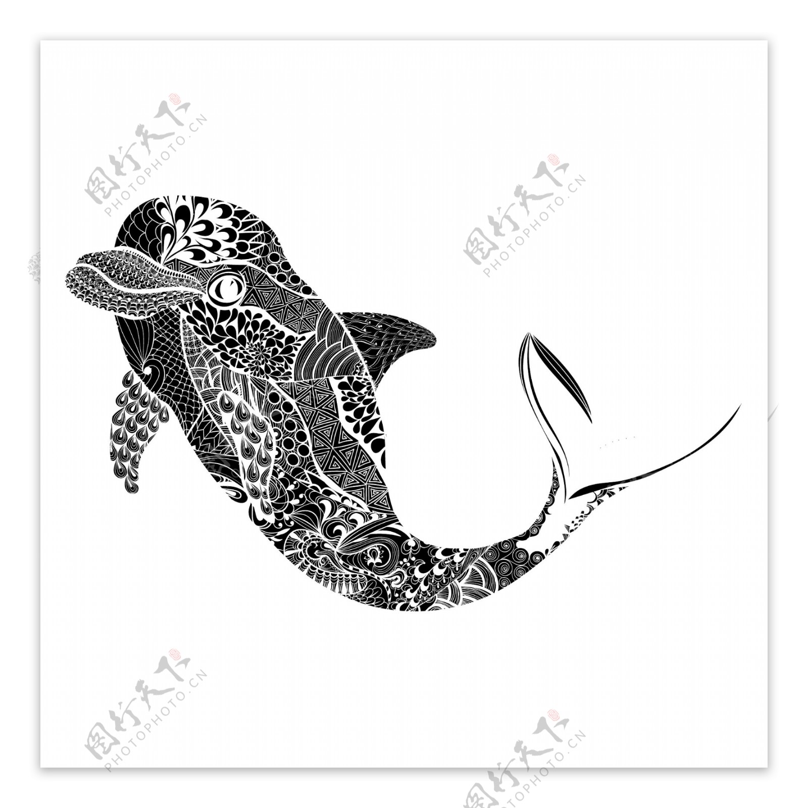 黑白时尚花纹海豚插画