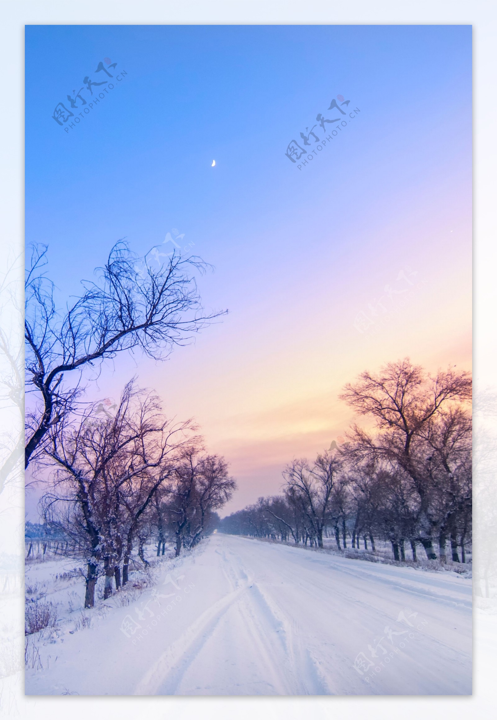 蓝色天空白色雪地唯美背景