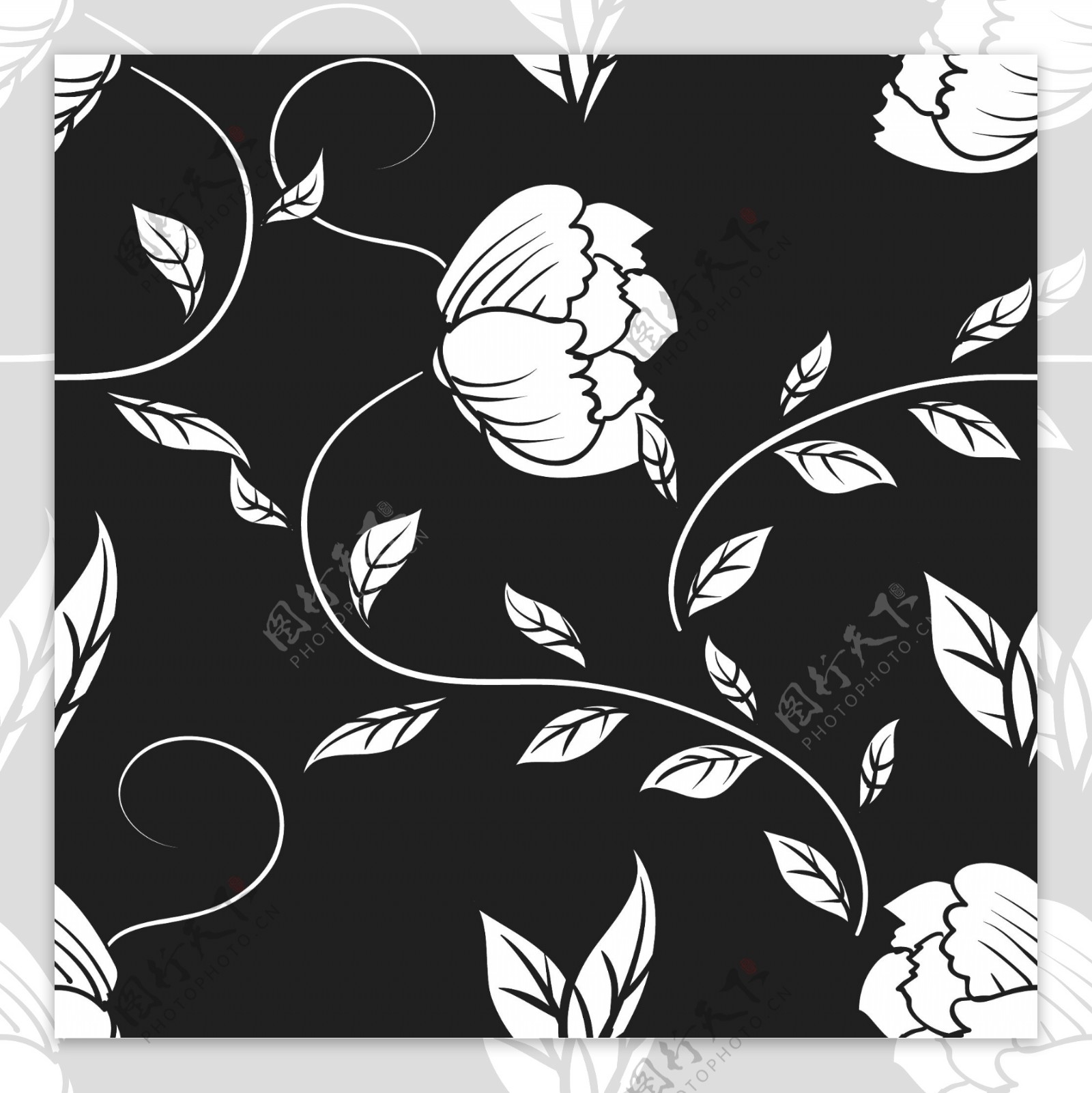 黑白装饰手绘花卉图片素材免费下载 - 觅知网