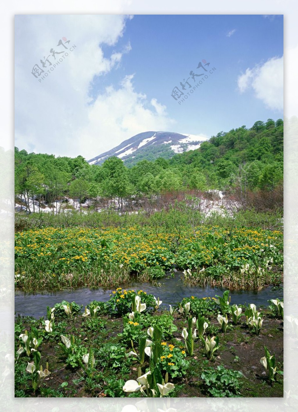 山水美景