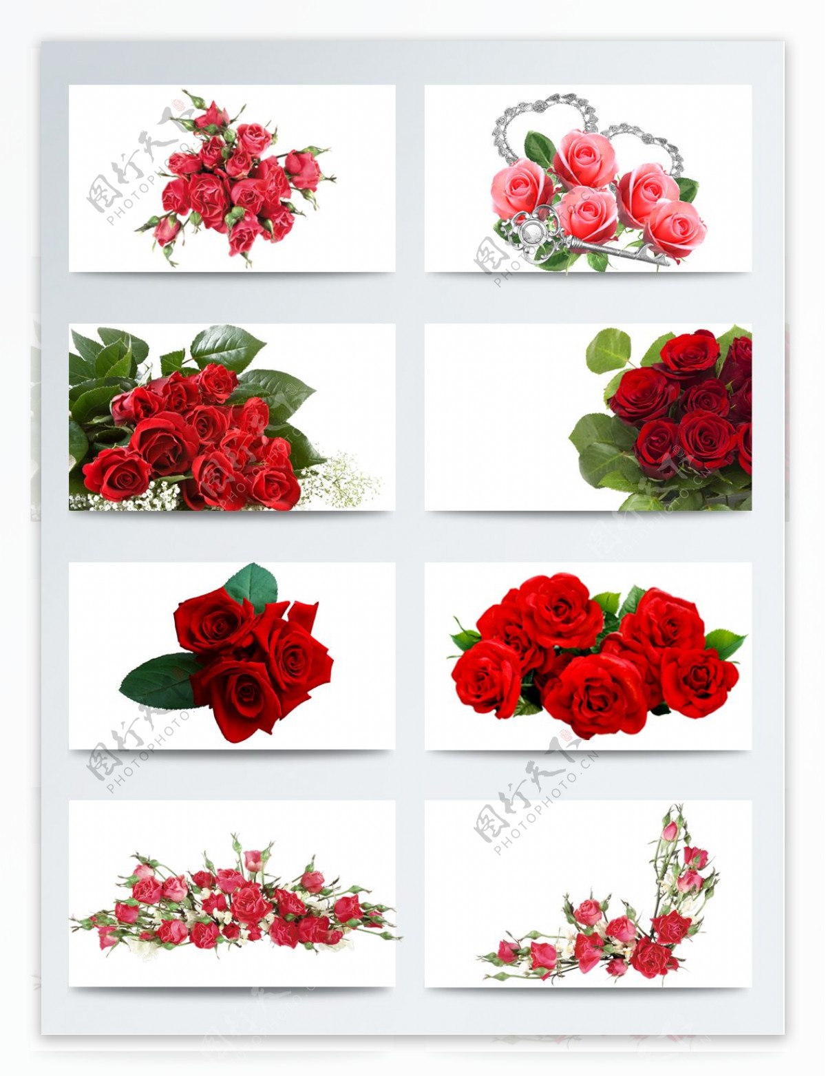 情人节红玫瑰鲜花元素