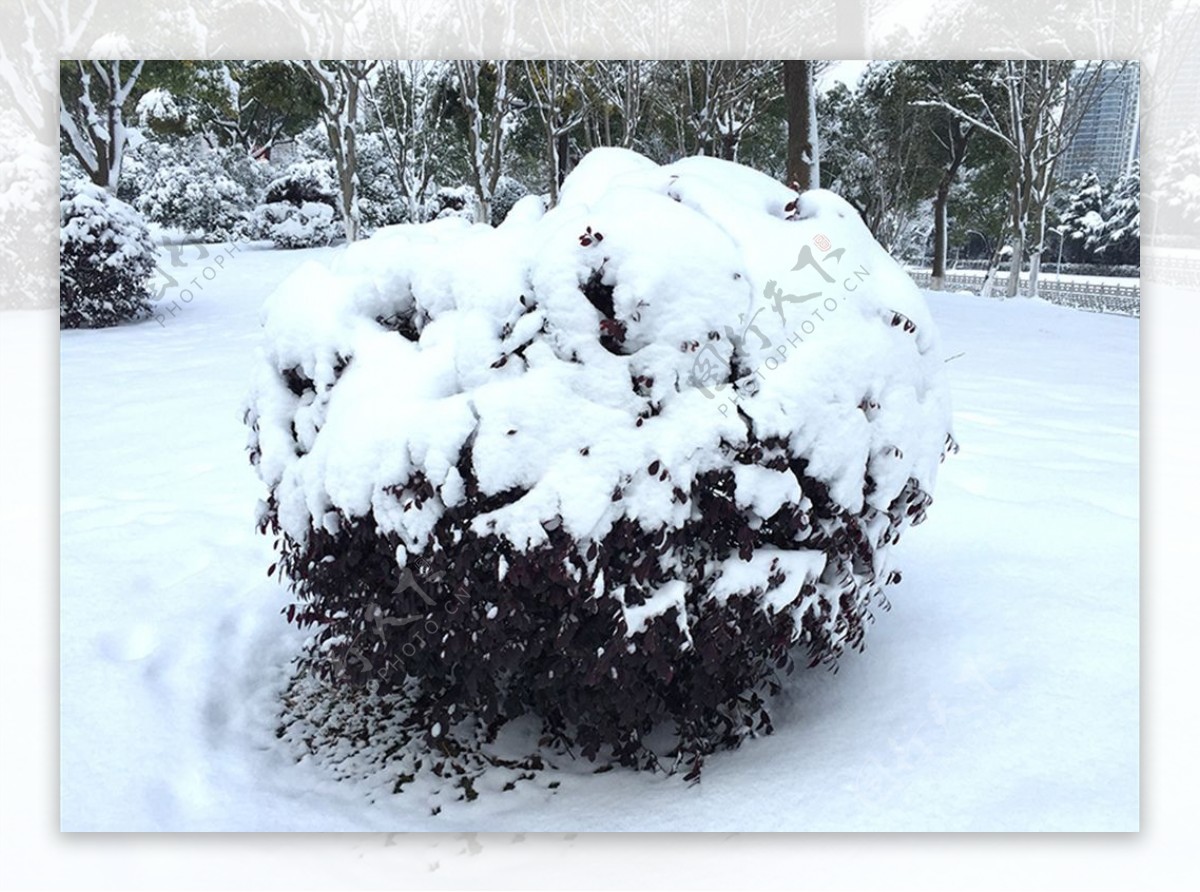 雪景