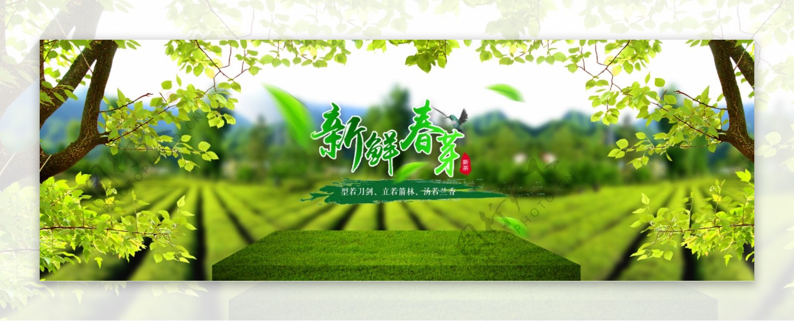 清新茶叶电商海报banner