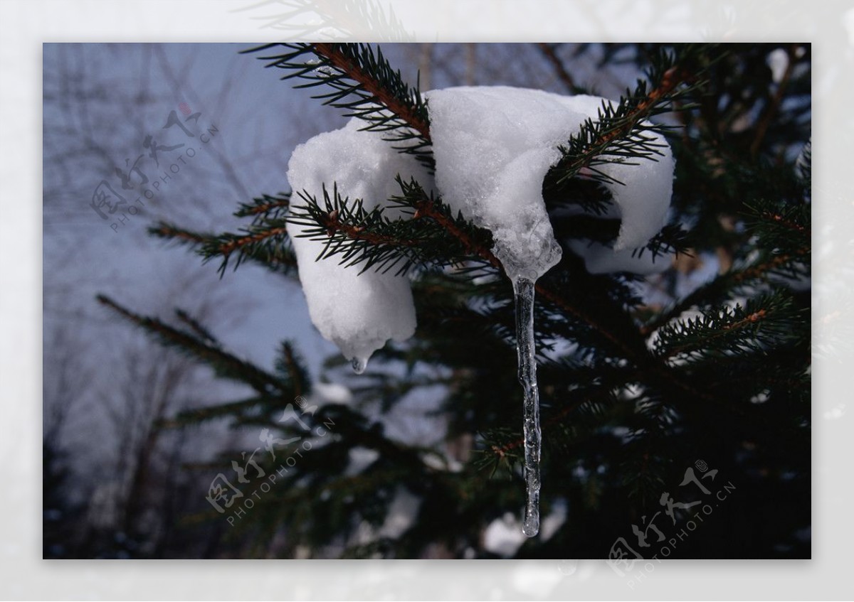 积雪