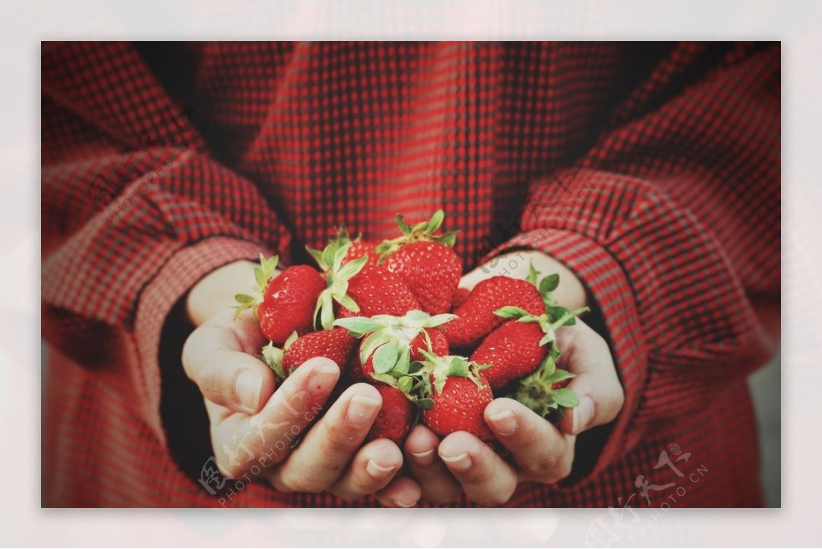 一捧草莓