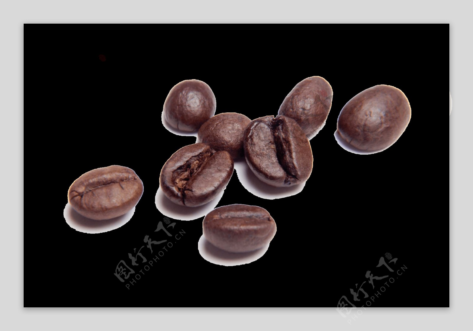 咖啡豆透明PNG