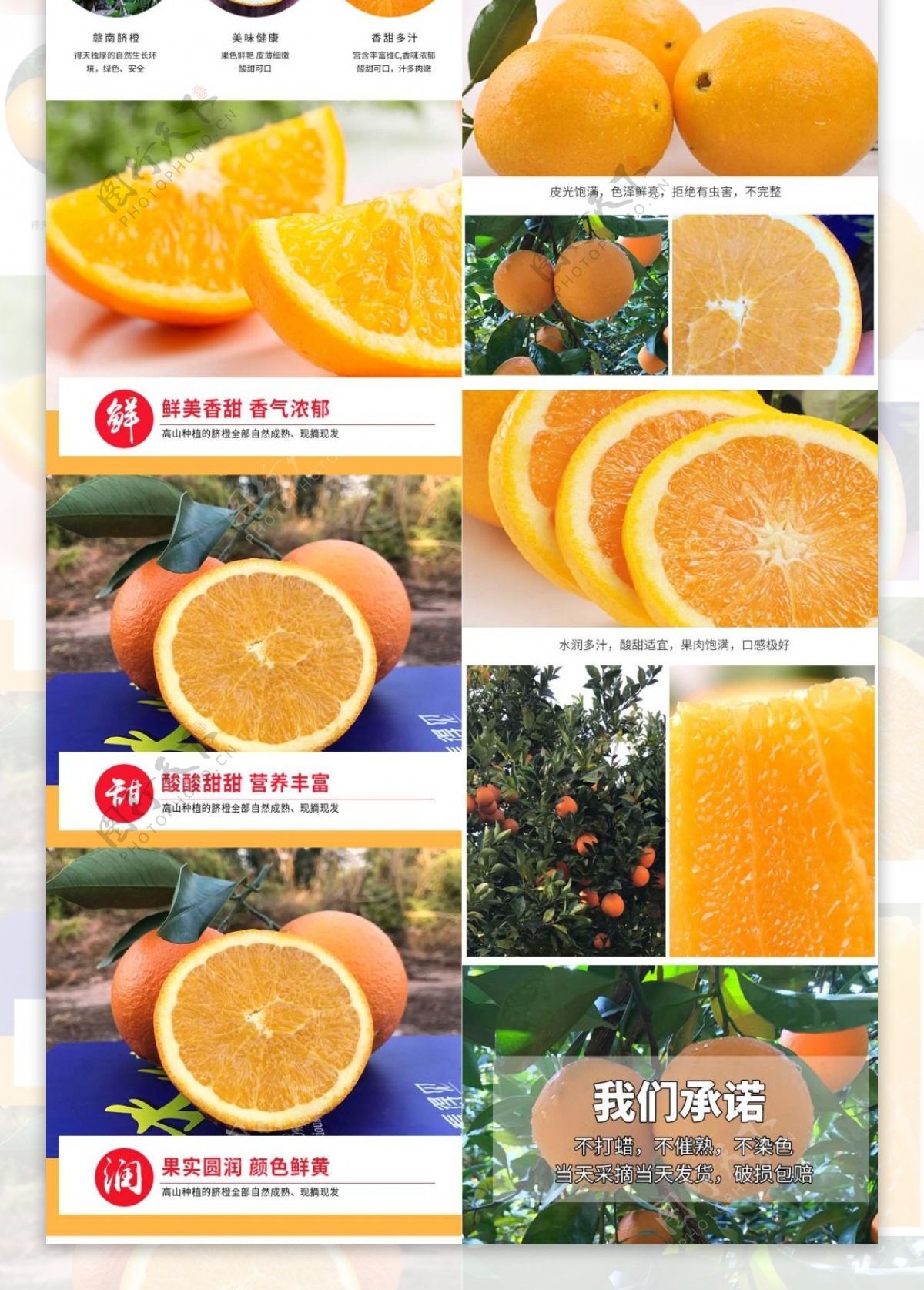 电商淘宝水果脐橙详情页