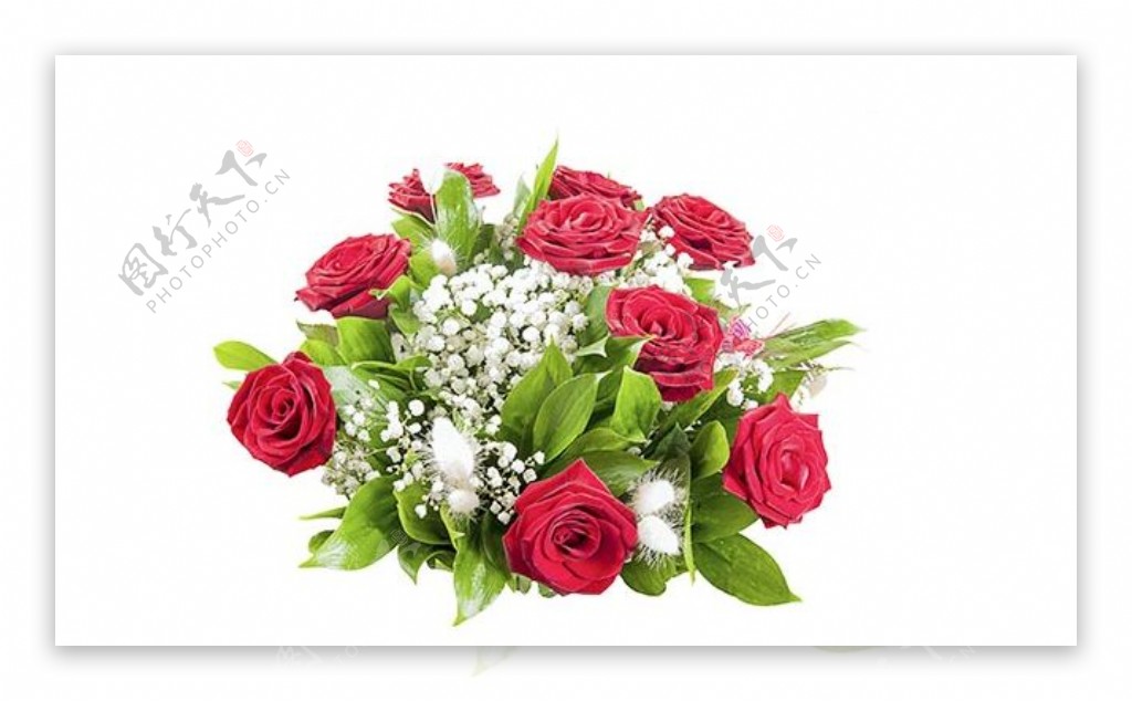 明艳红色玫瑰花花朵花束实物元素