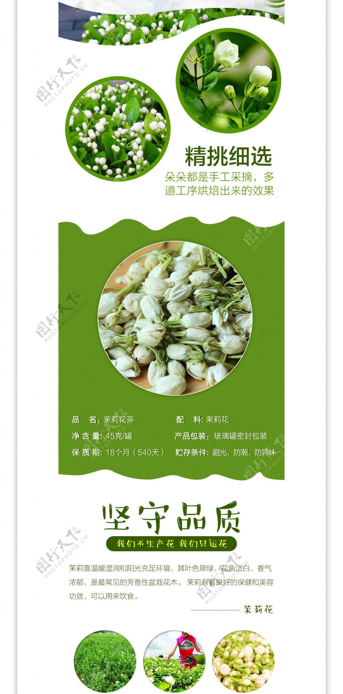 淘宝天猫茉莉花茶详情页