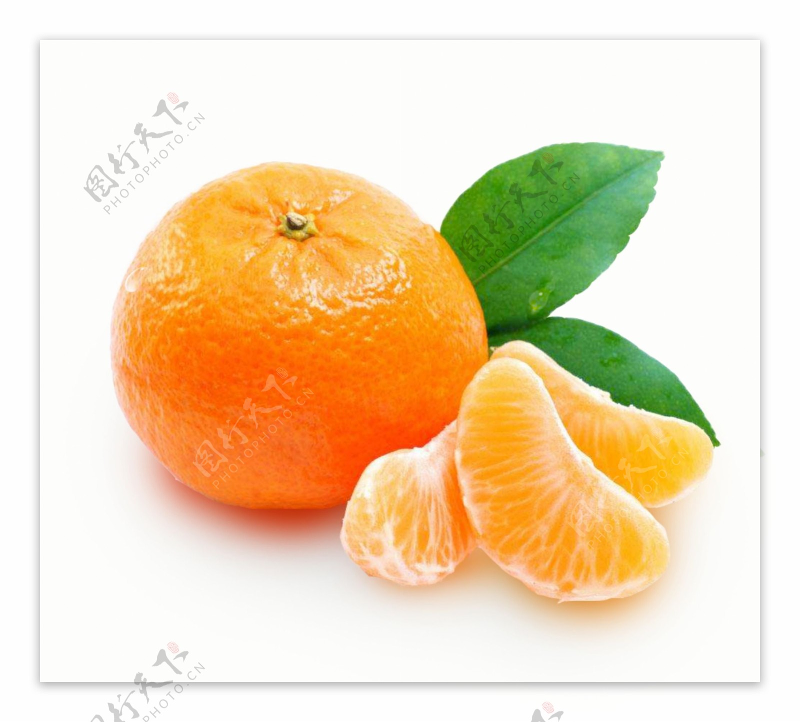 橘子橙色水果素材
