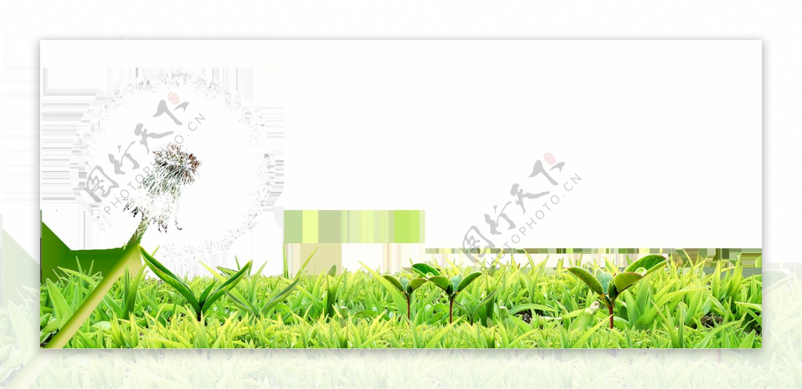 绿色户外草坪png元素