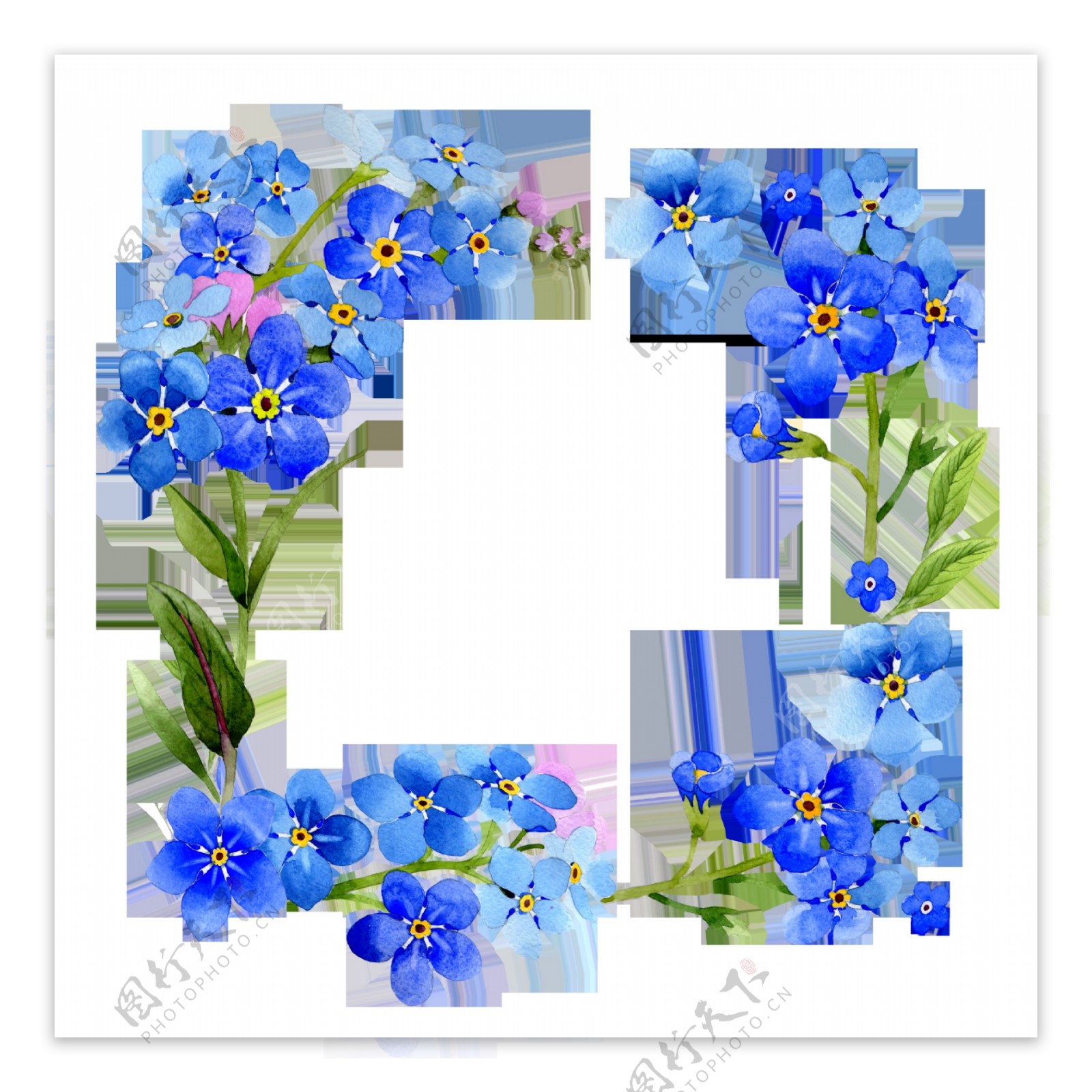 手绘蓝色小花花卉PNG透明素材