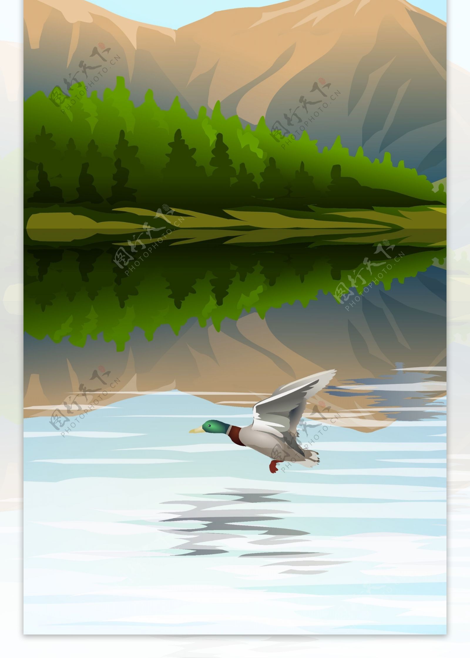湖景水鸟装饰画