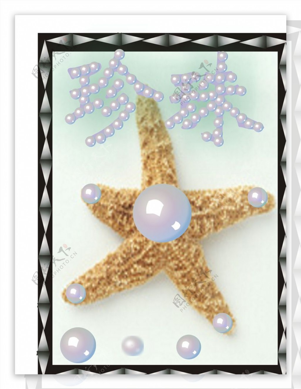 珍珠五角星海星