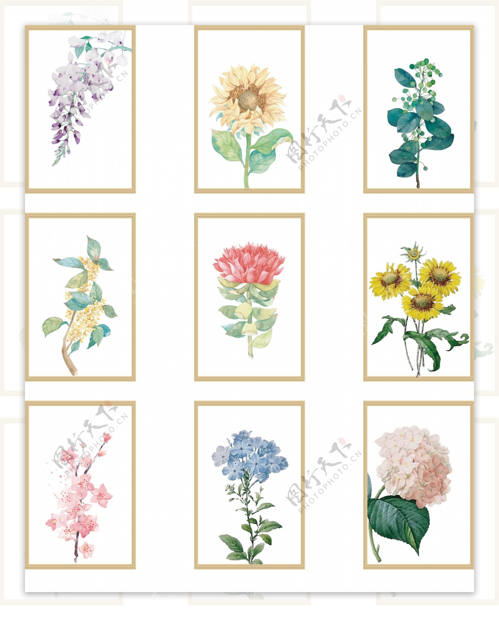 水彩花卉植物装饰画