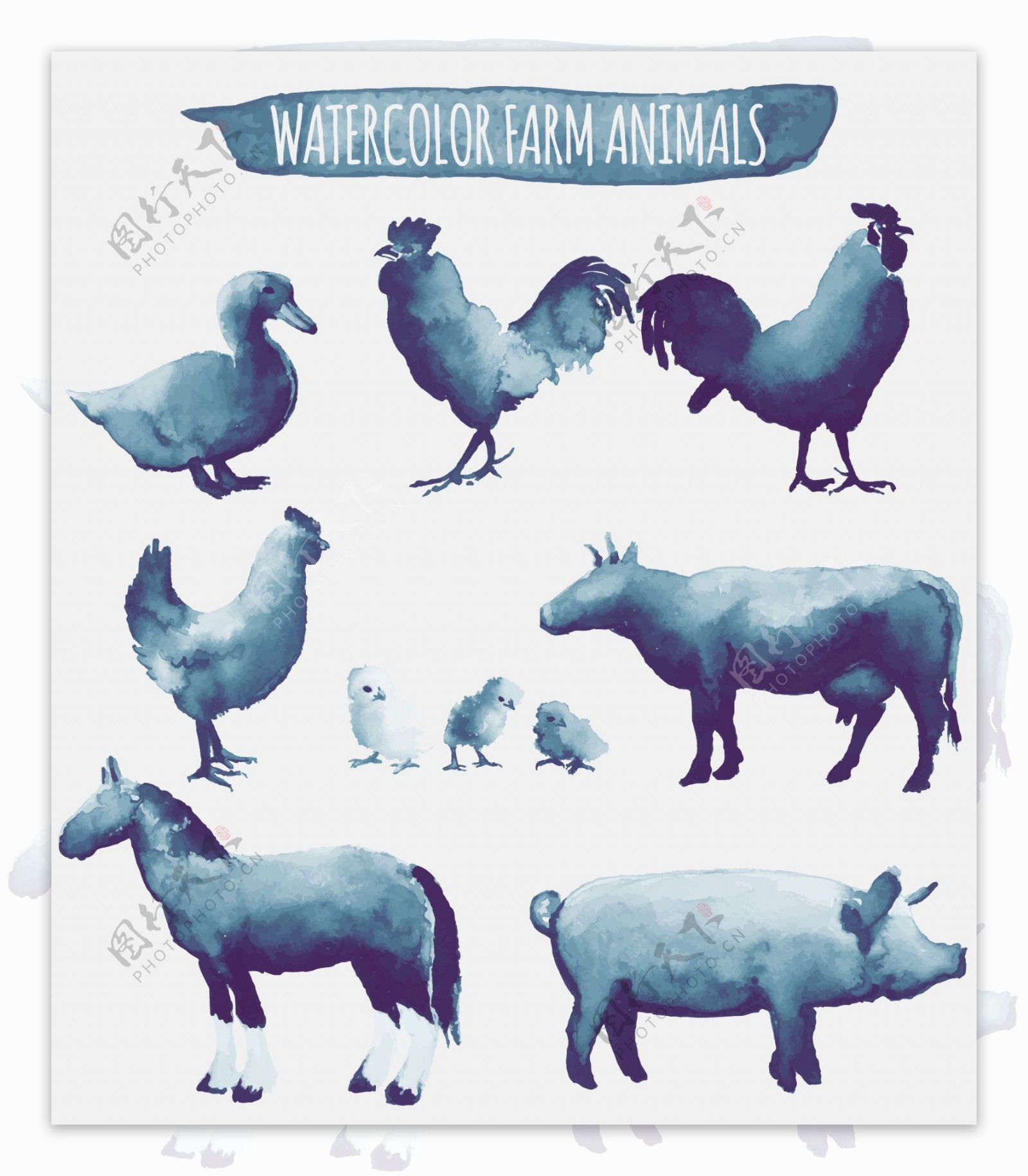 蓝色水彩绘动物插画