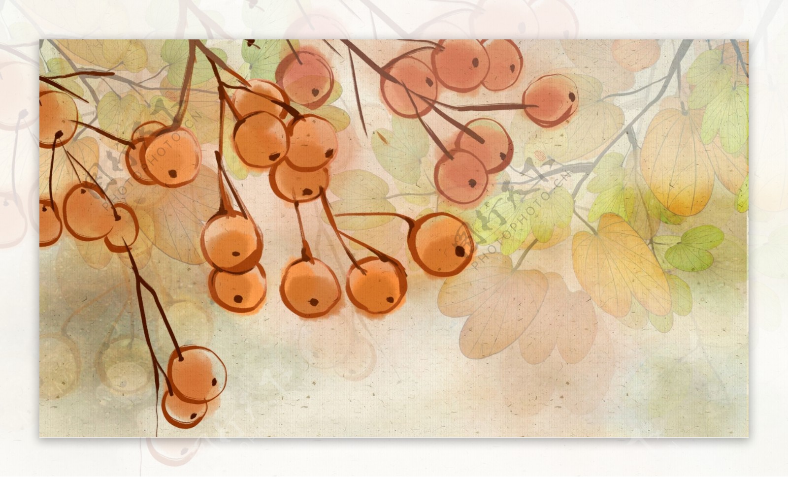 水彩绘中国风柿子树插画背景设计