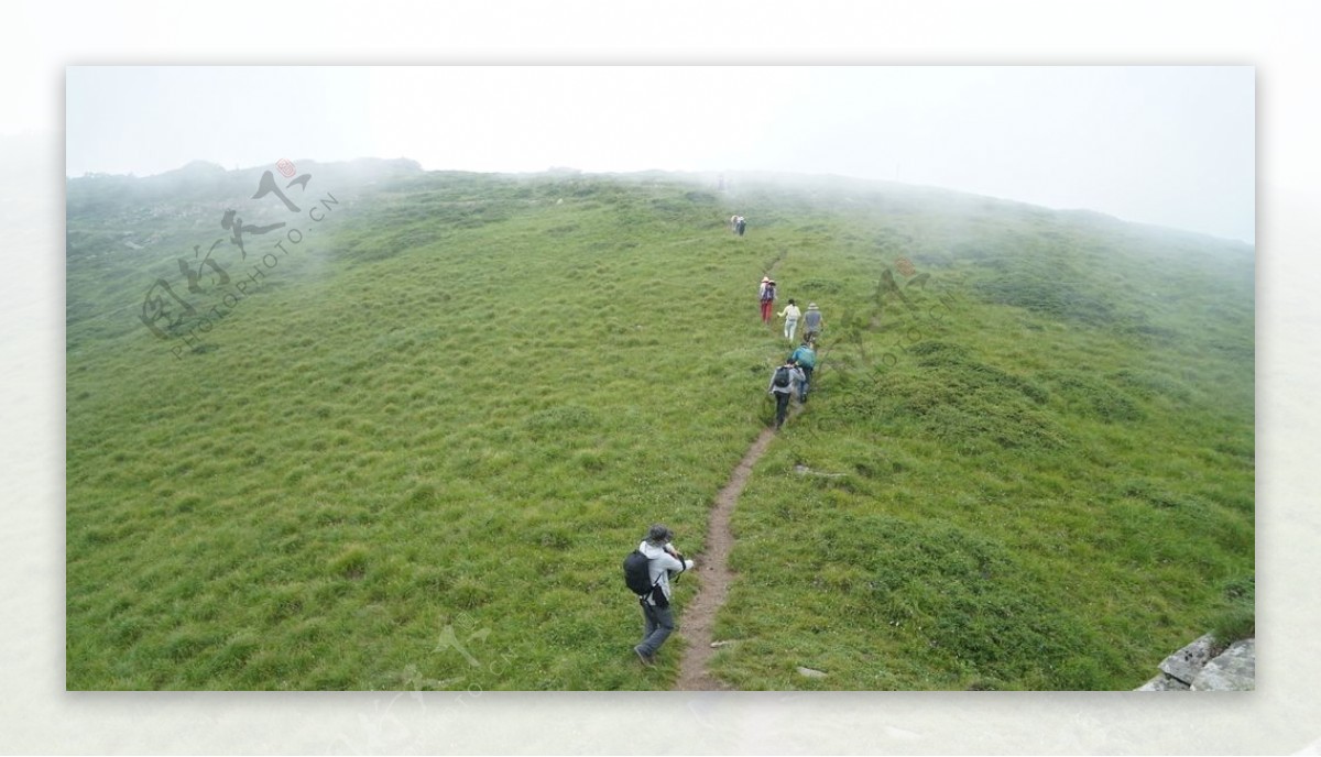 穿越高山草地