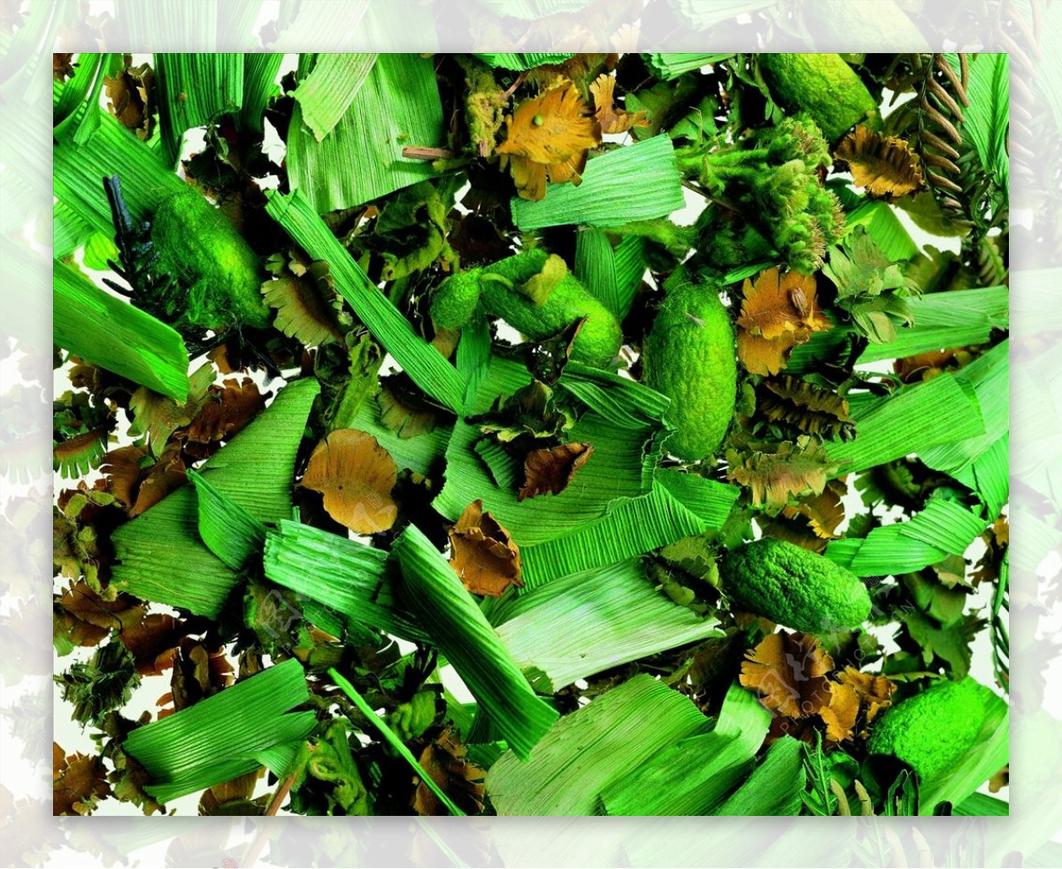 自然材质蚕茧干树叶