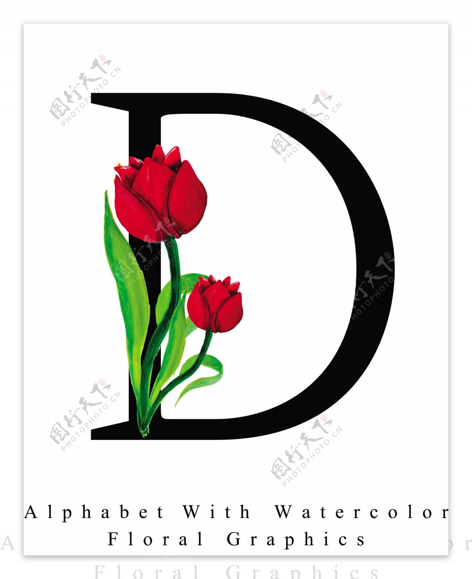 黑色的字母d和两朵花logo模板