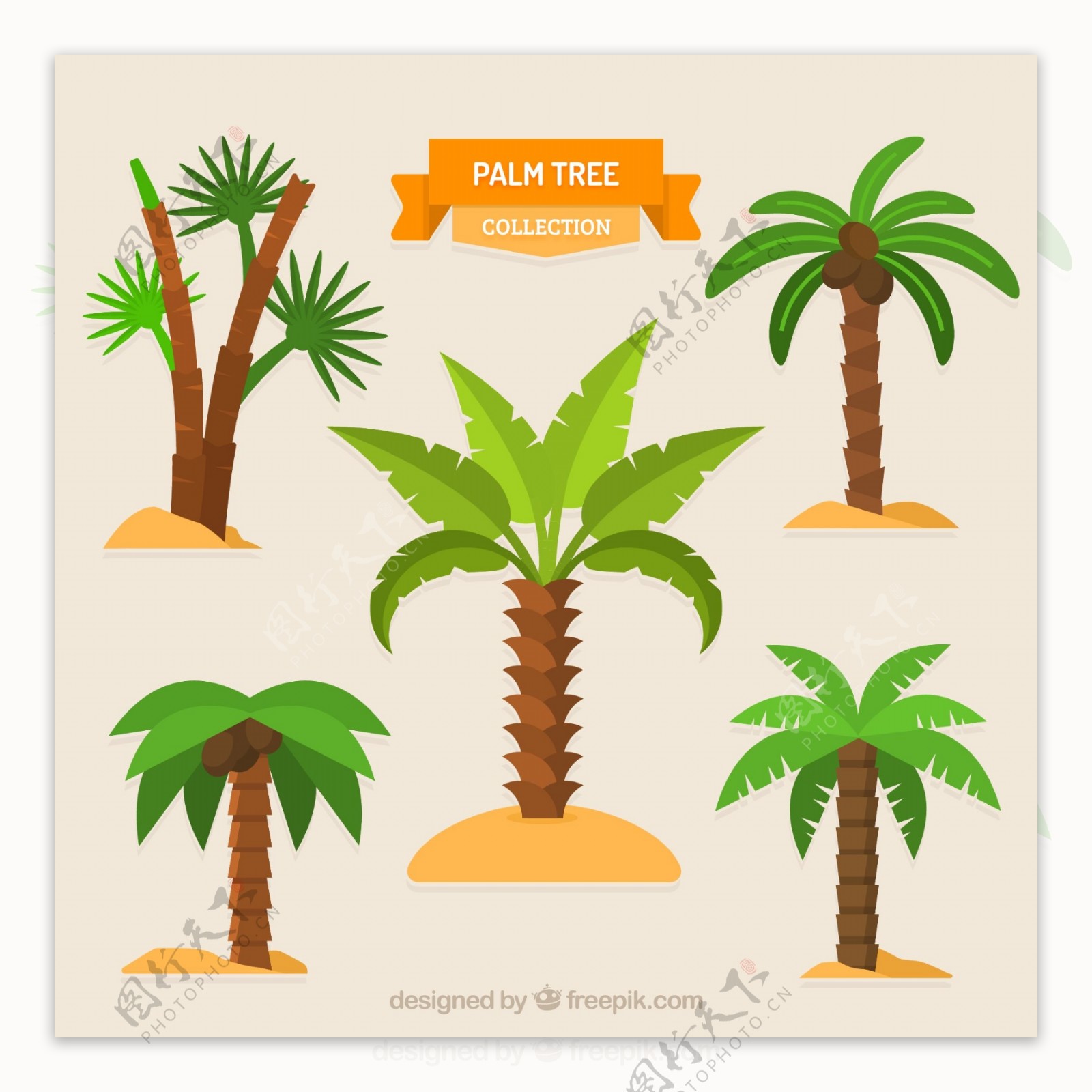 5款绿色棕榈树设计矢量素材
