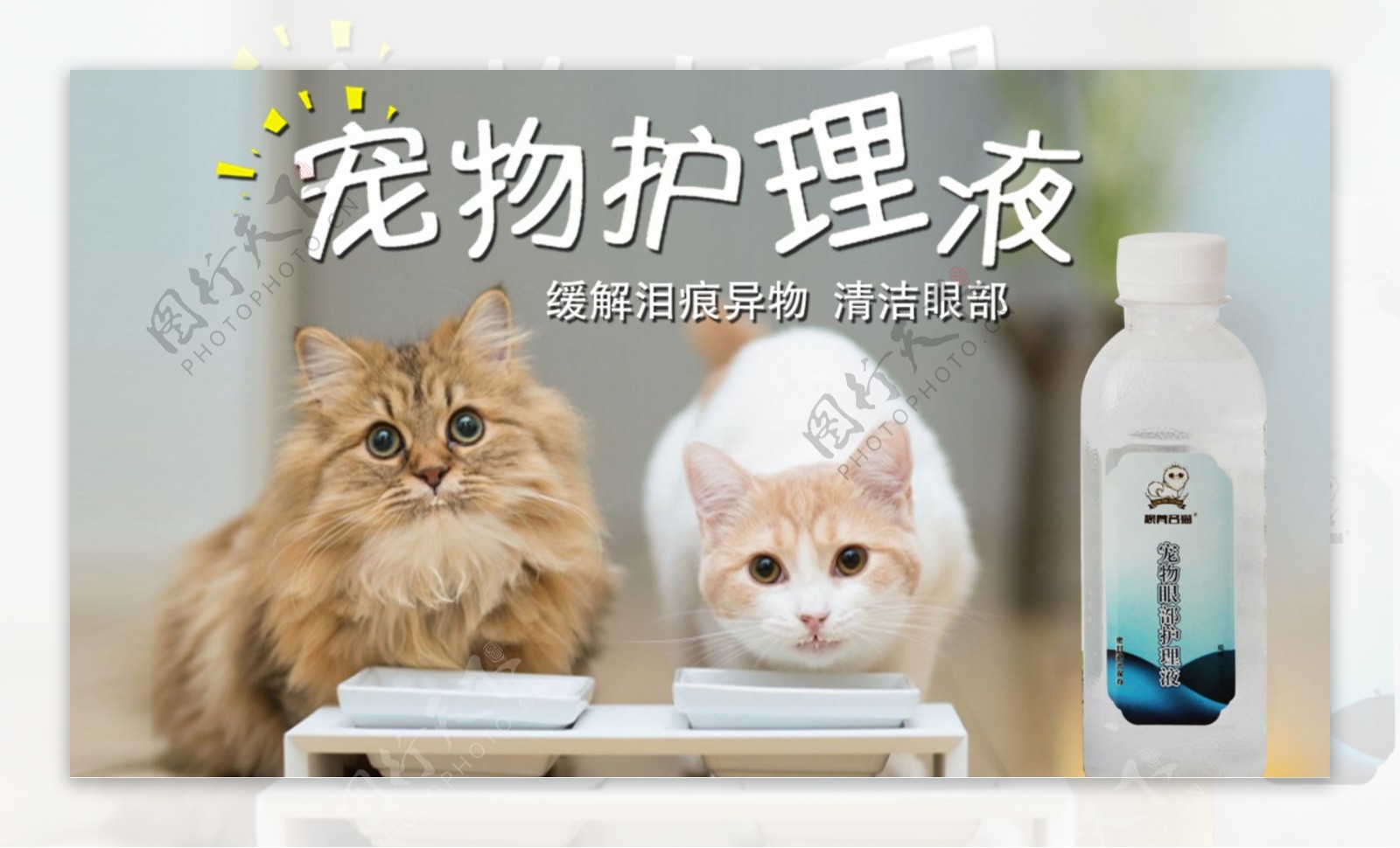 宠物猫护理液促销海报
