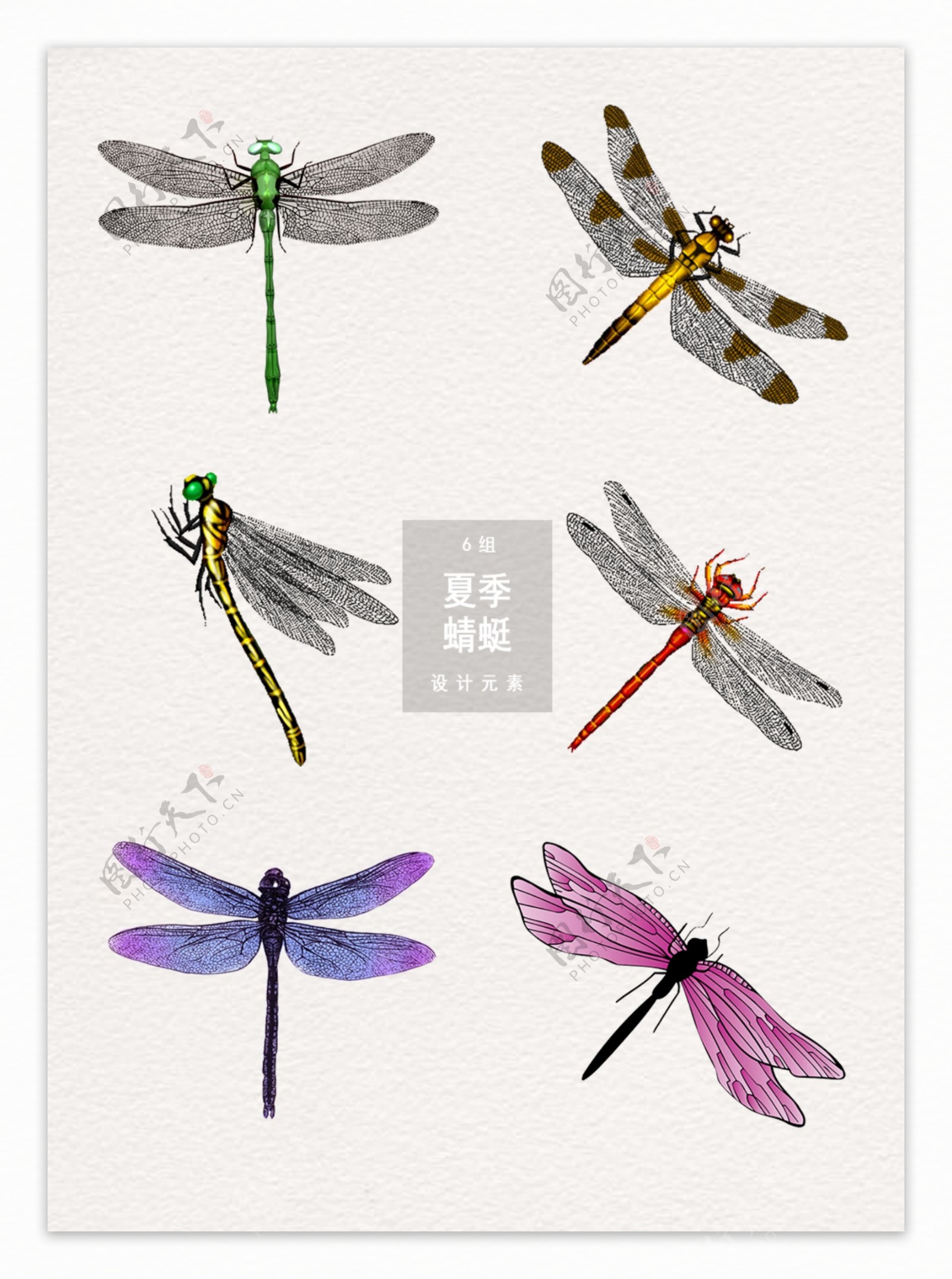 夏季蜻蜓图案装饰素材