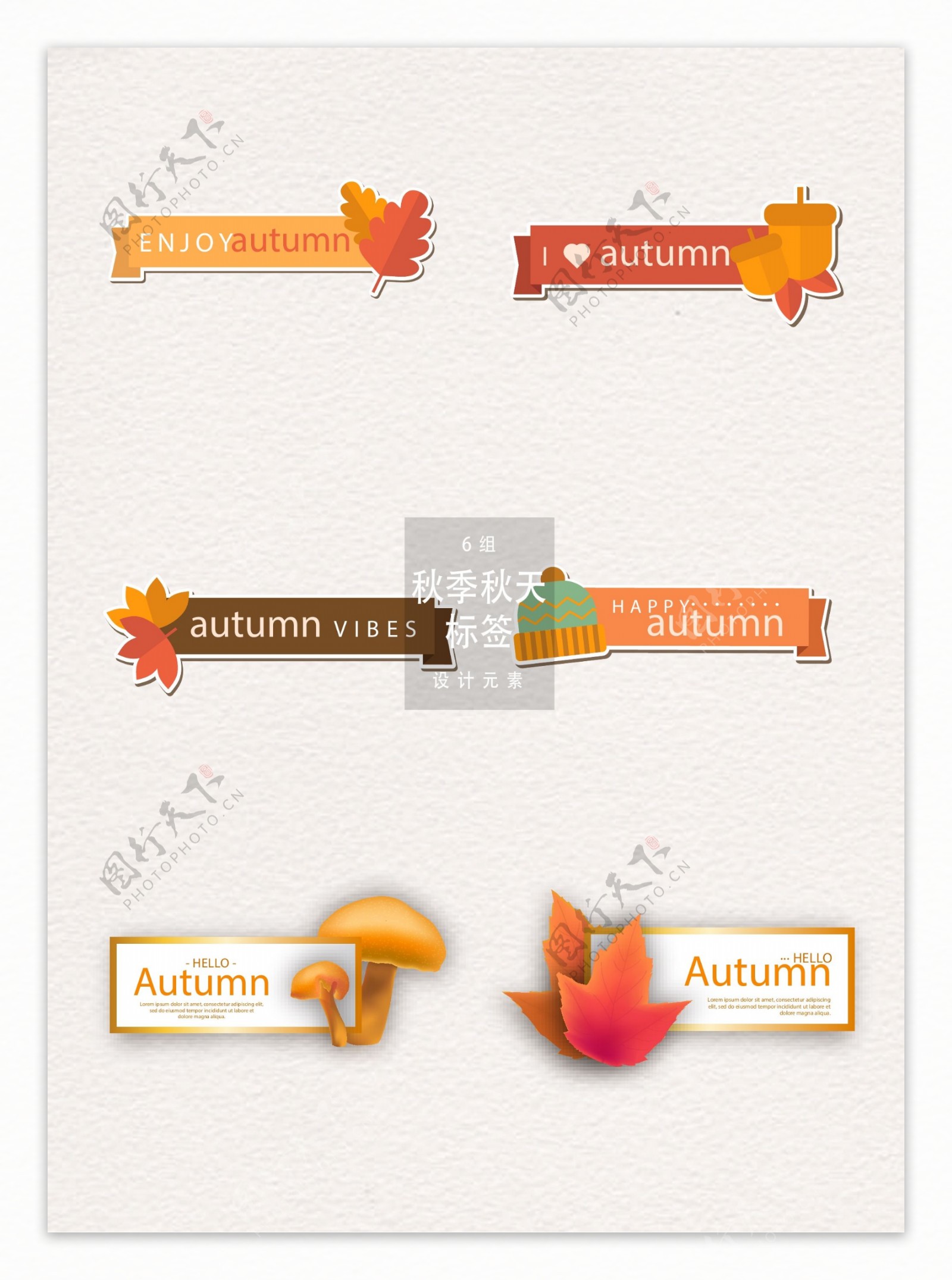 创意秋季秋天标签设计元素