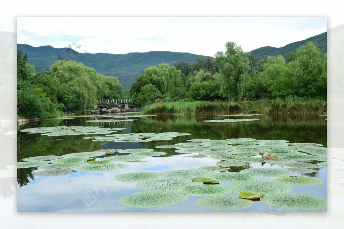 植物园风景