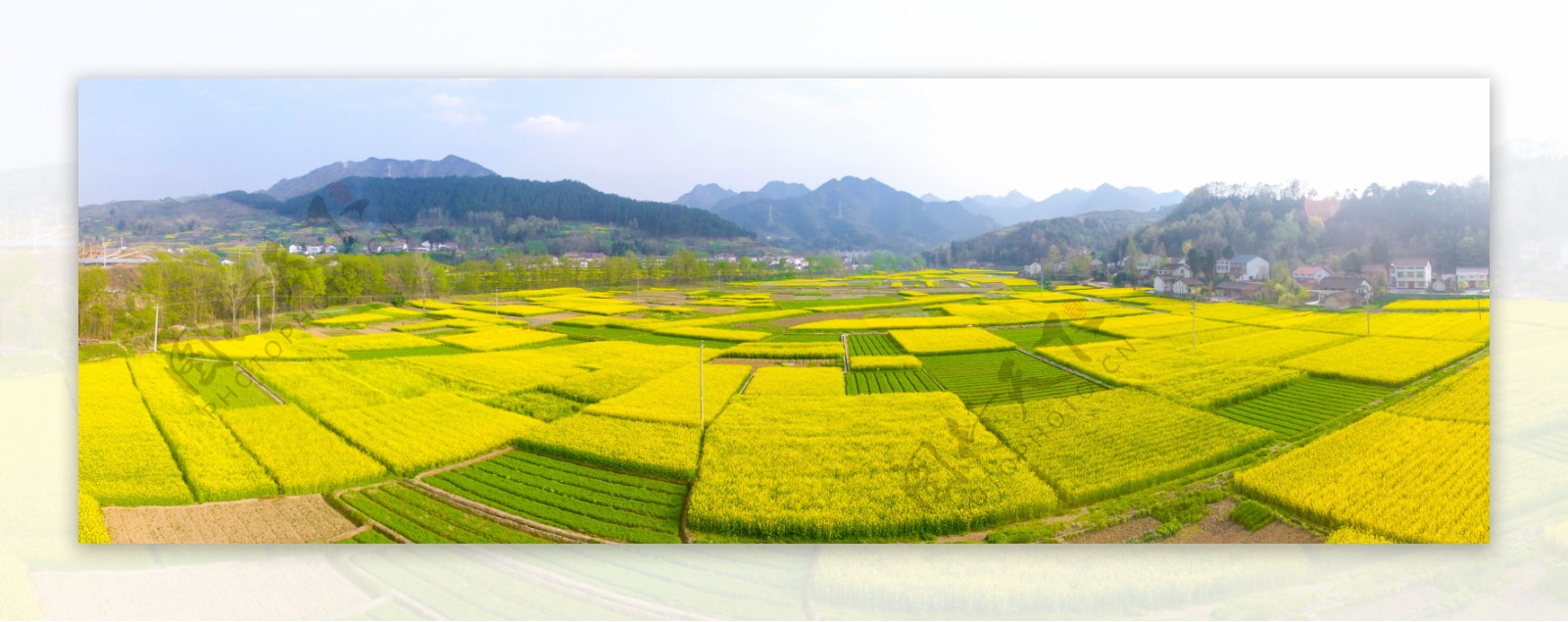 陕西汉中油菜花海