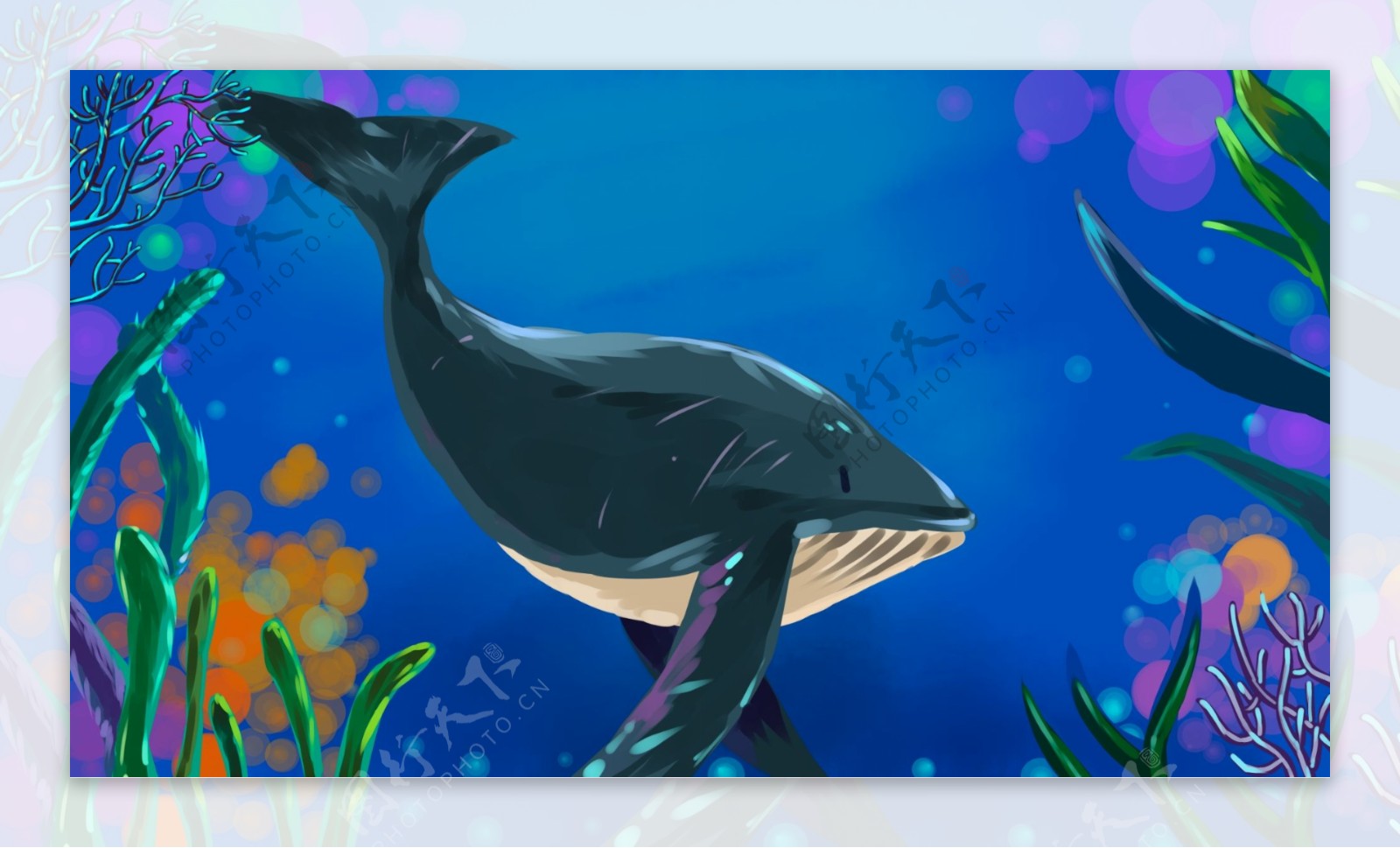 深海植物鲸鱼卡通背景