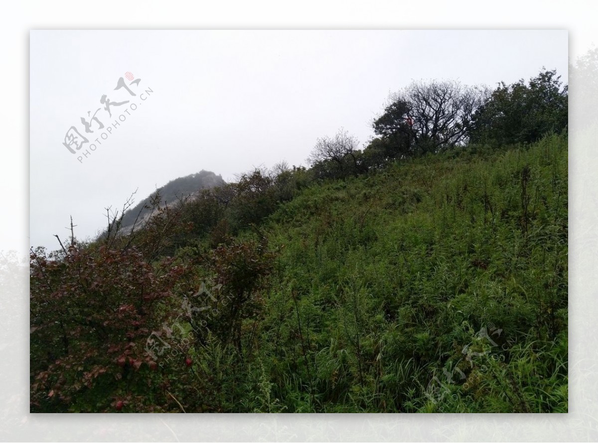 高山风景