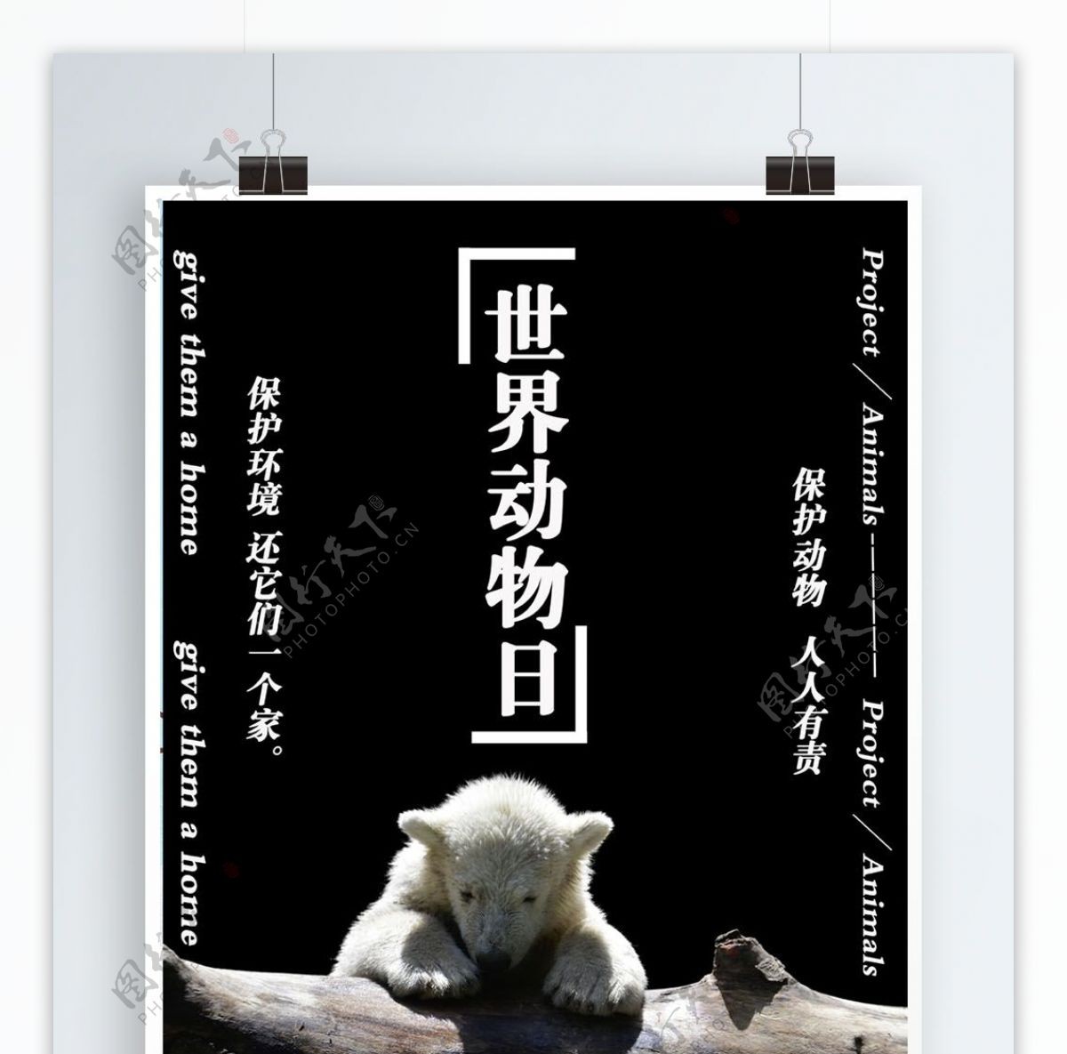 简约世界动物日海报